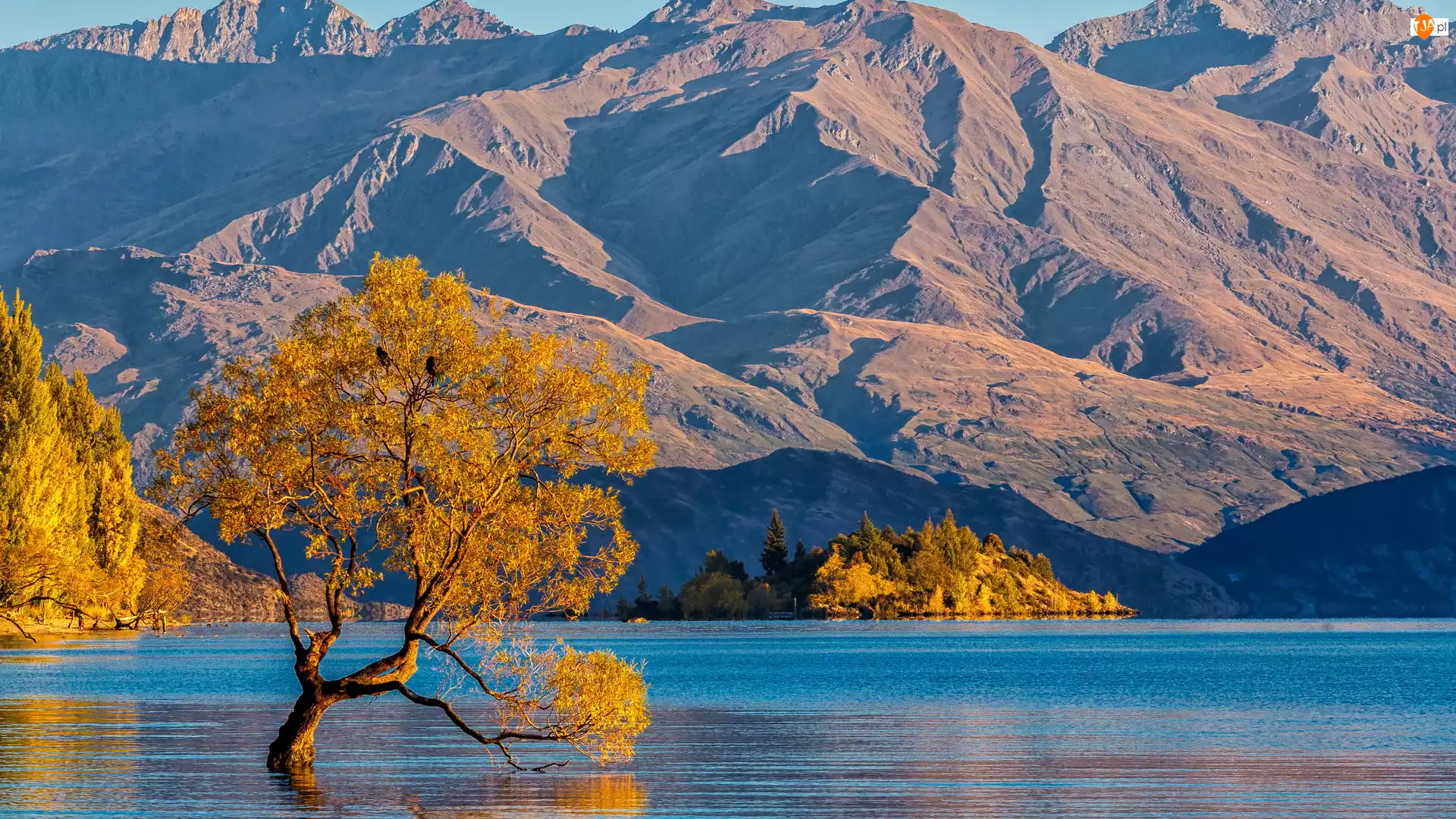Pochylone, Jezioro Wanaka, Góry, Nowa Zelandia, Drzewo, Jesień