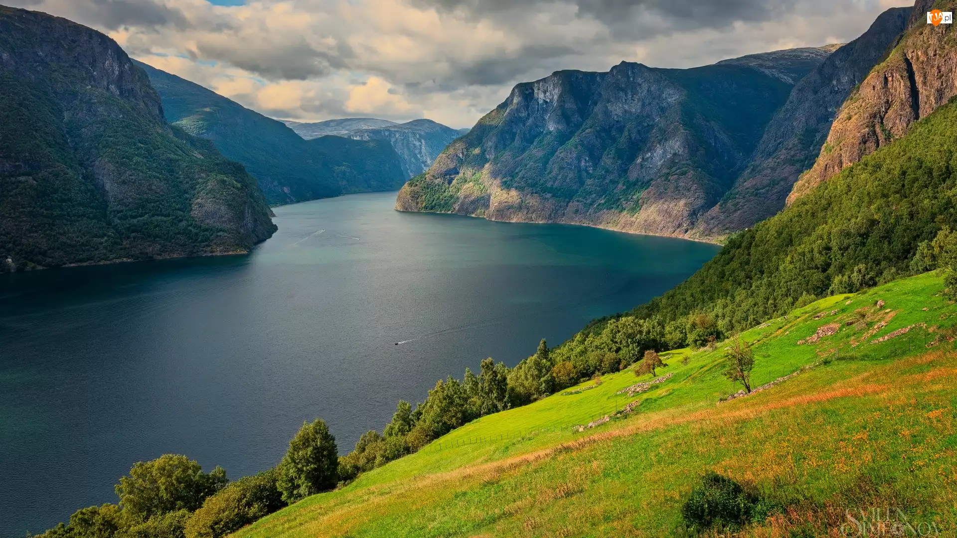 Aurlandsfjord, Zielone, Góry, Gmina Aurland, Wzgórze, Fiord, Norwegia, Drzewa