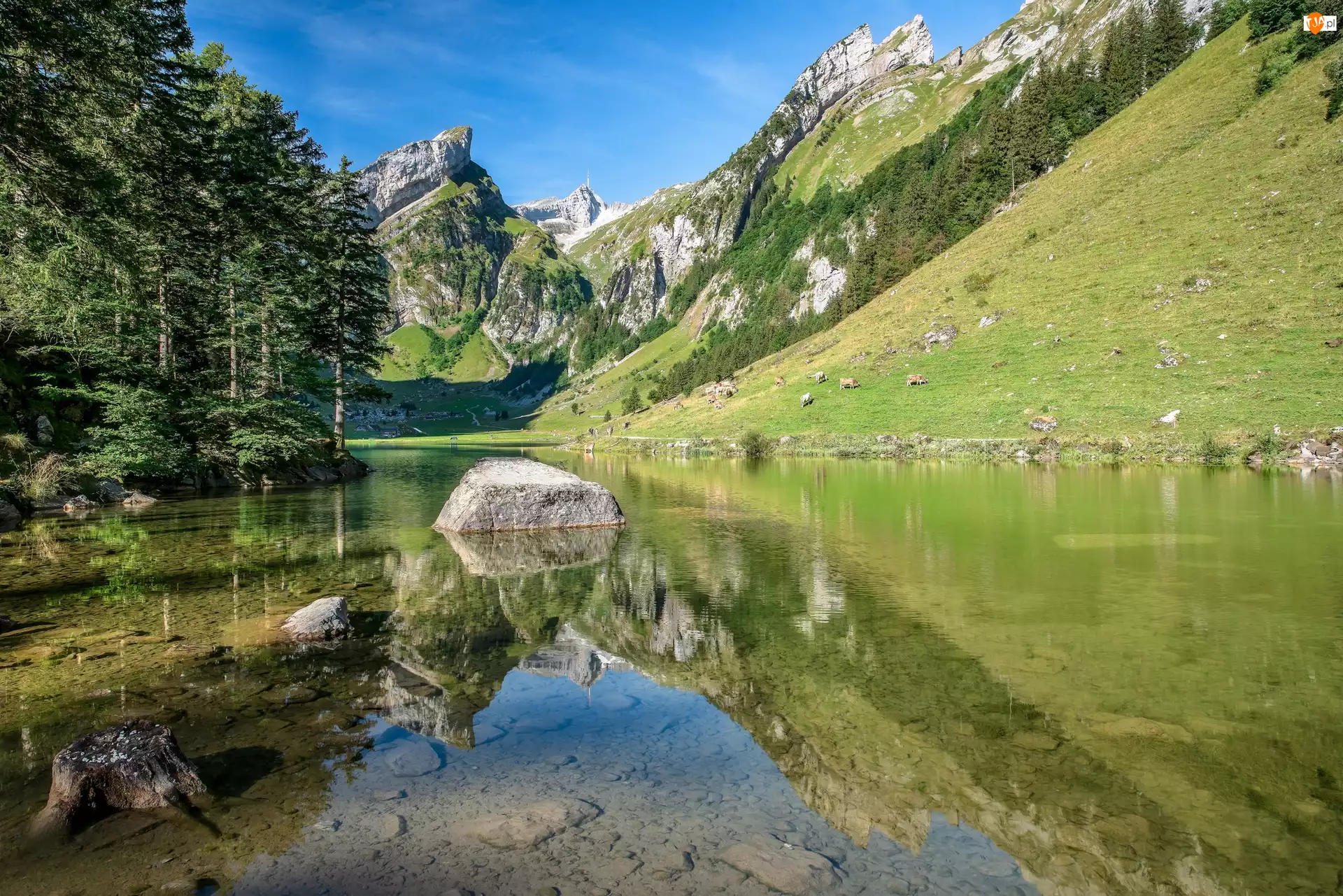 Góry Alpy, Jezioro Seealpsee, Drzewa, Szwajcaria, Kamienie, Kanton Appenzell Innerrhoden