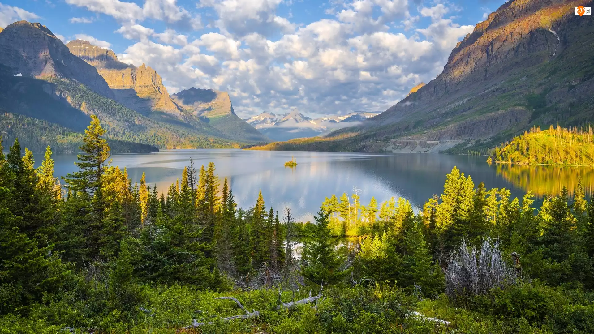 Stan Montana, Park Narodowy Glacier, Drzewa, Stany Zjednoczone, Góry, Saint Mary Lake, Jezioro