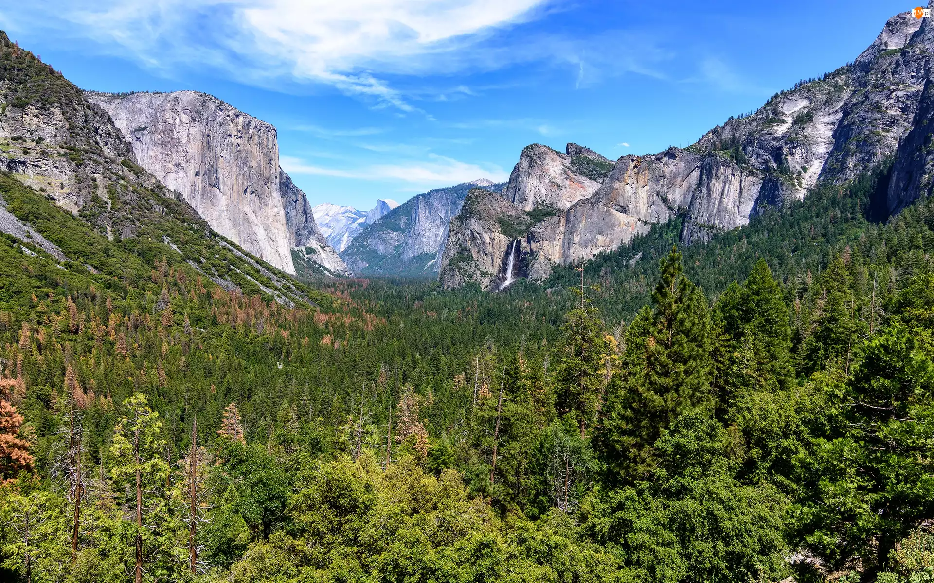 Góry, Park Narodowy Yosemite, Drzewa, Stany Zjednoczone, Dolina Yosemite Valley, Stan Kalifornia