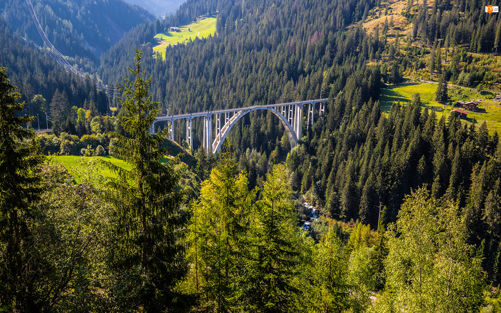 Wiadukt Langwieser, Szwajcaria, Alpy, Lasy, Kanton Gryzonia, Most, Drzewa, Góry
