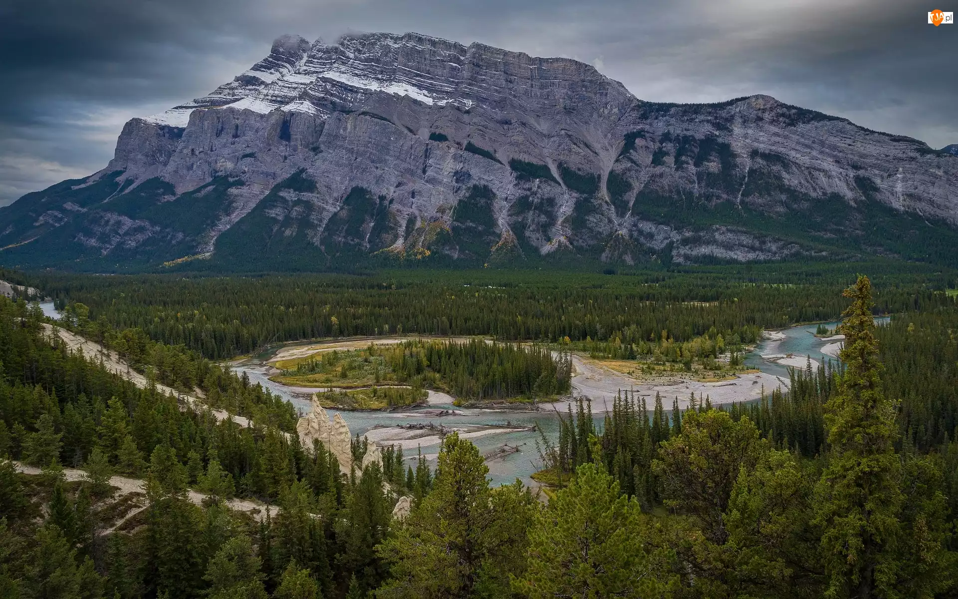 Park Narodowy Banff, Góry, Drzewa, Alberta, Rzeka, Świerki, Kanada, Bow River