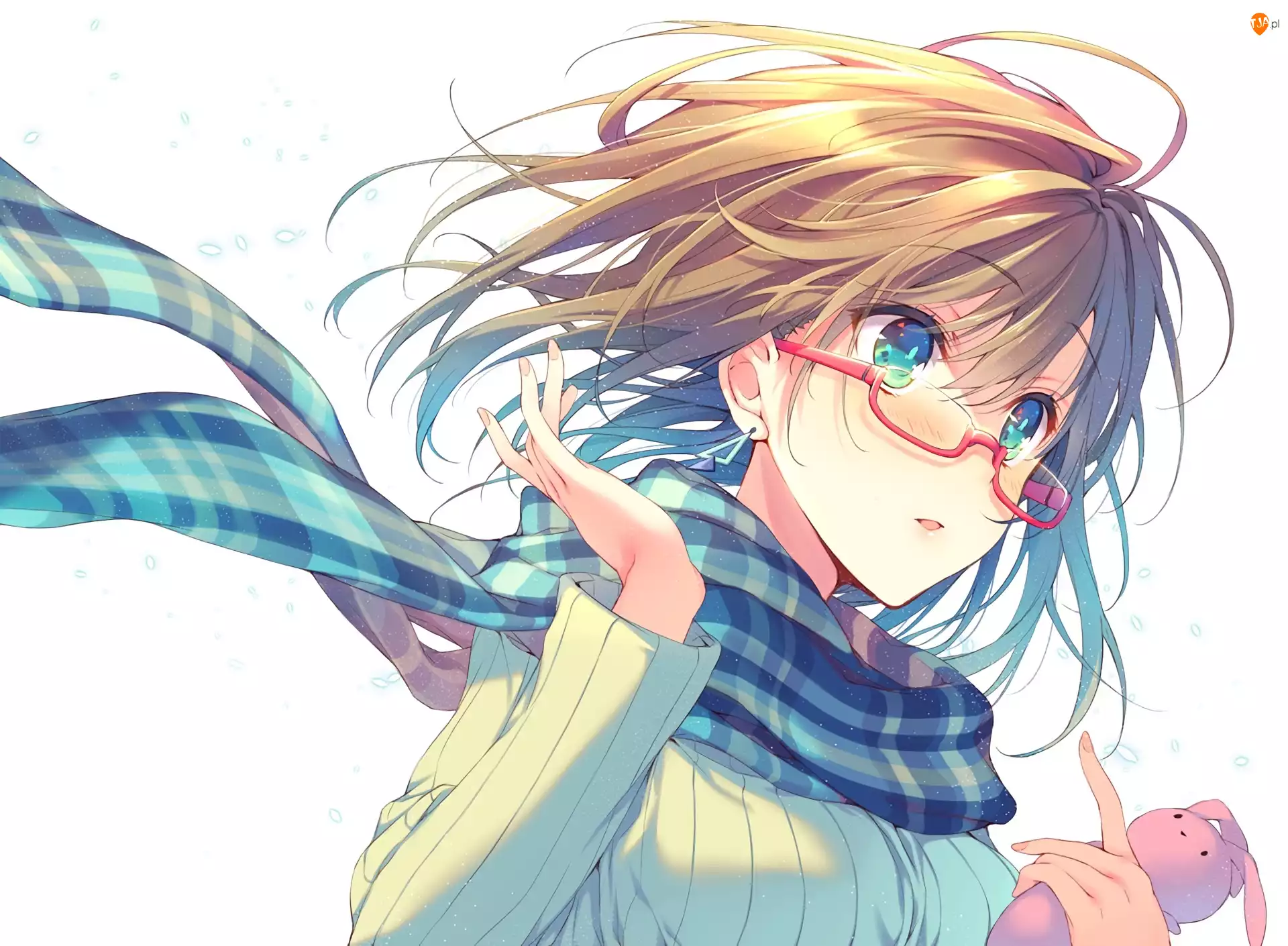 Anime, Dziewczyna, Okulary