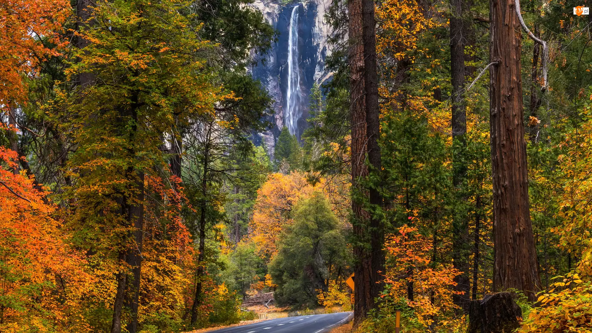 Stany Zjednoczone, Las, Kalifornia, Bridalveil Fall, Park Narodowy Yosemite, Drzewa, Droga, Jesień, Wodospad