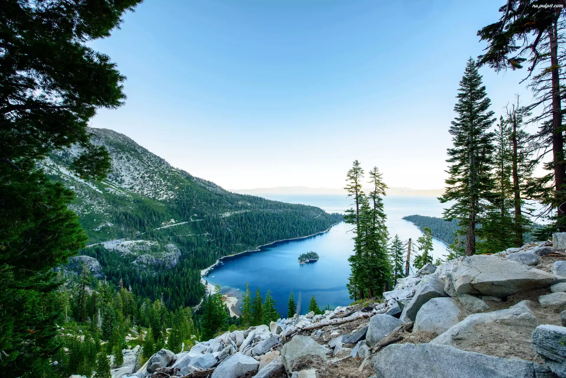 Las, Stany Zjednoczone, Góry, Wyspa Fannette, Stan Kalifornia, Jezioro Tahoe, Świerki, Park stanowy Emerald Bay