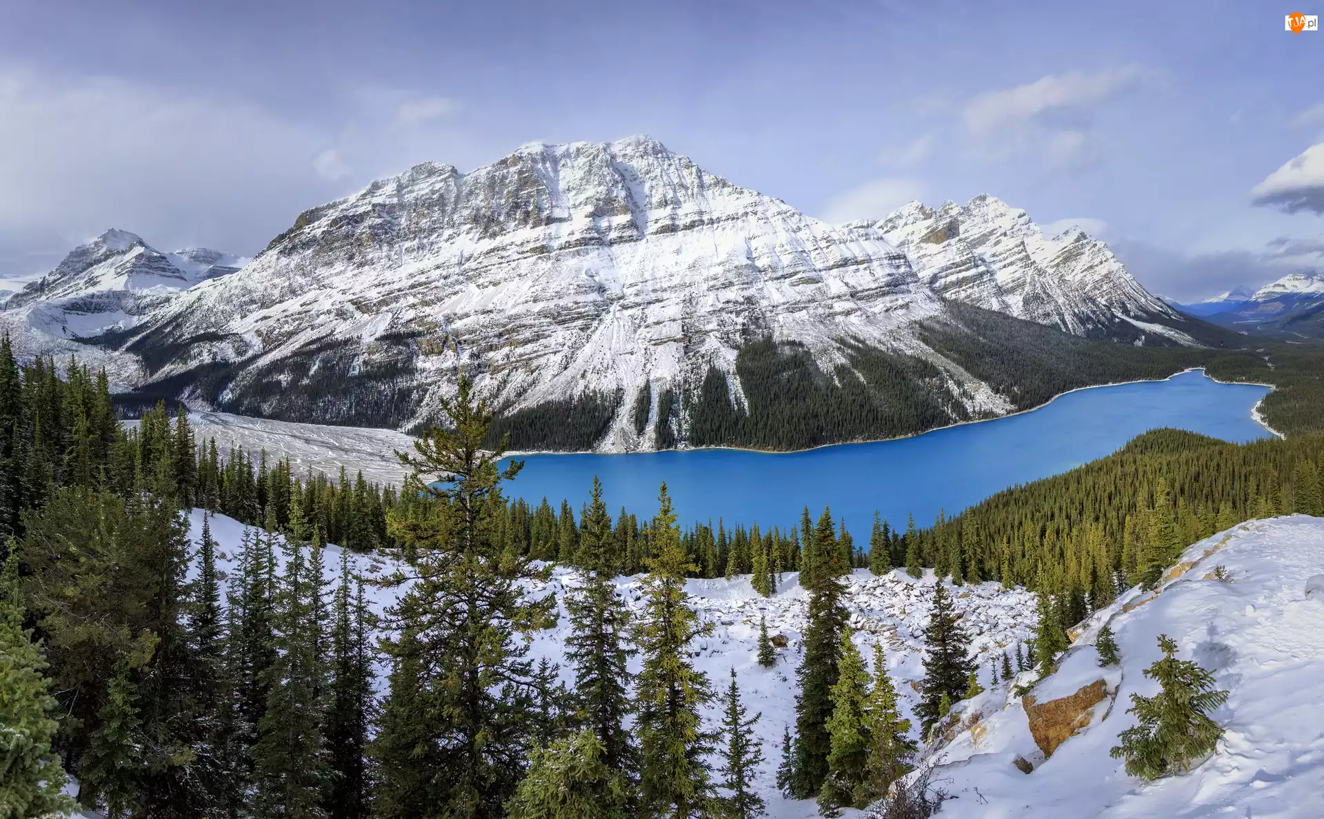 Zima, Kanada, Góry, Jezioro Peyto Lake, Park Narodowy Banff