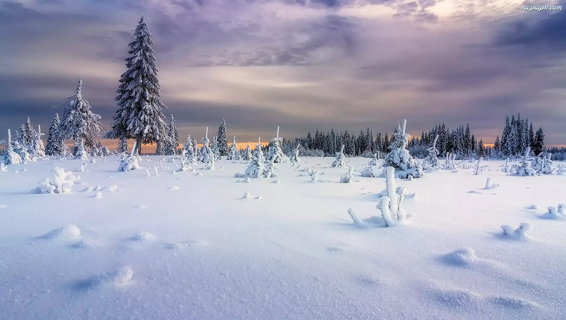 Zima, Chmury, Ural, Rosja, Drzewa