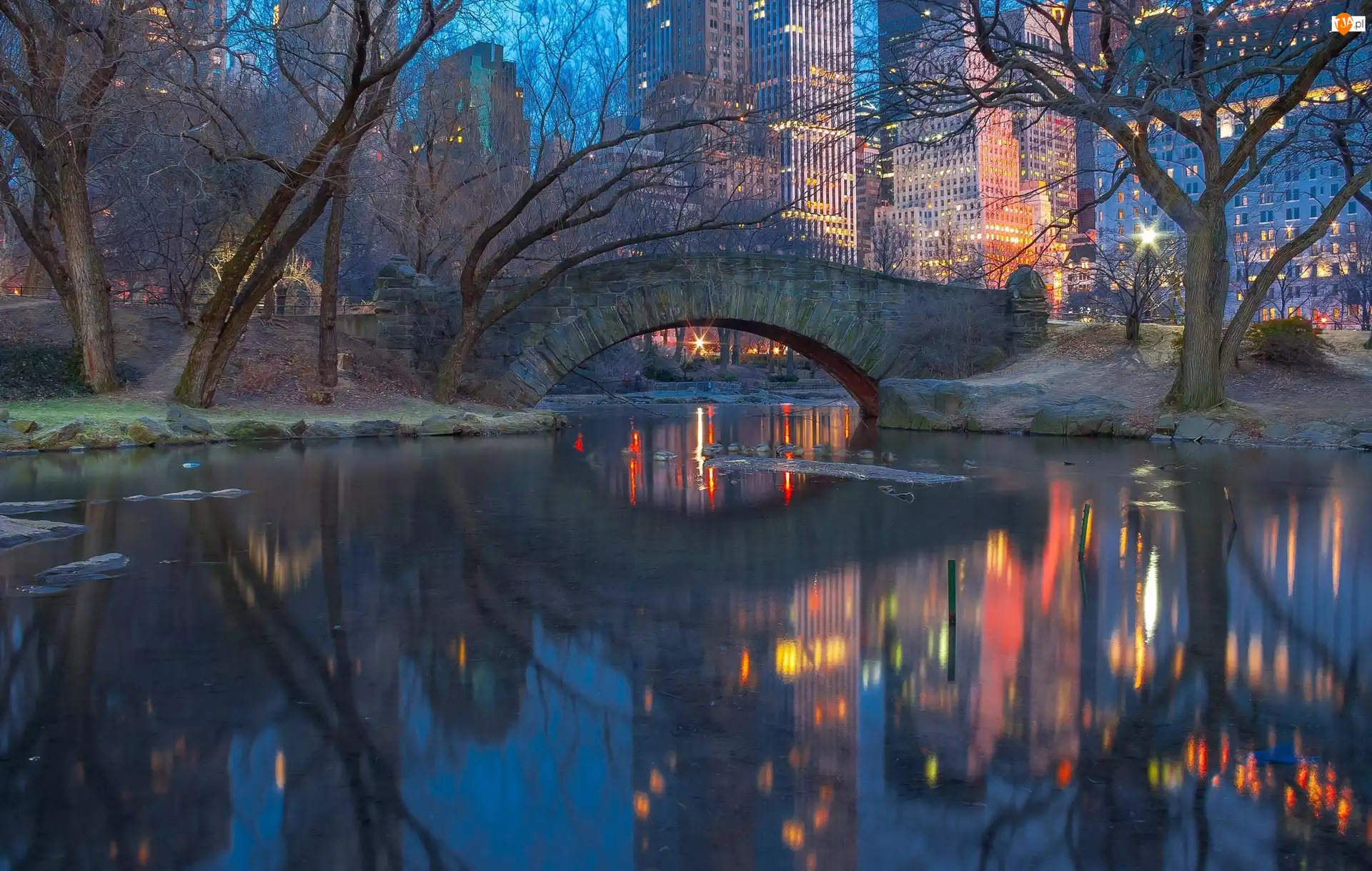 Manhattan, Nowy Jork, Most, Domy, Central Park, Drzewa