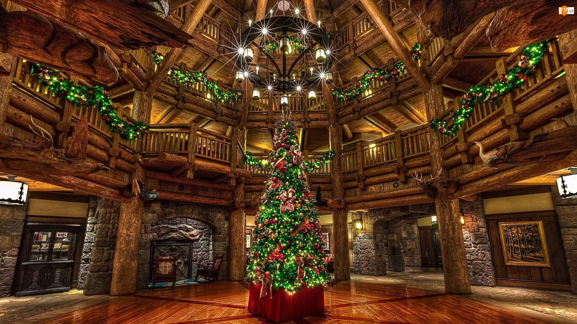 Stany Zjednoczone, Hotel, Disneys Wilderness Lodge, Choinka, Wnętrze, Boże Narodzenie, Lobby, Hol, Żyrandol, Orlando
