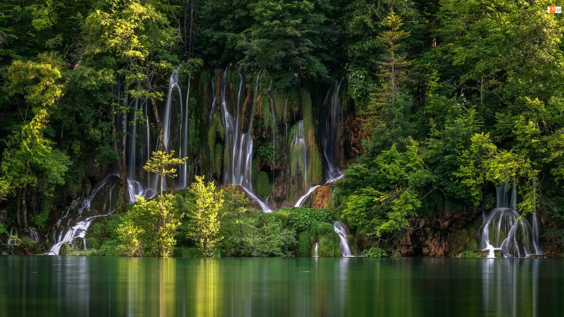 Park Narodowy Jezior Plitwickich, Drzewa, Plitvice, Chorwacja, Wodospady