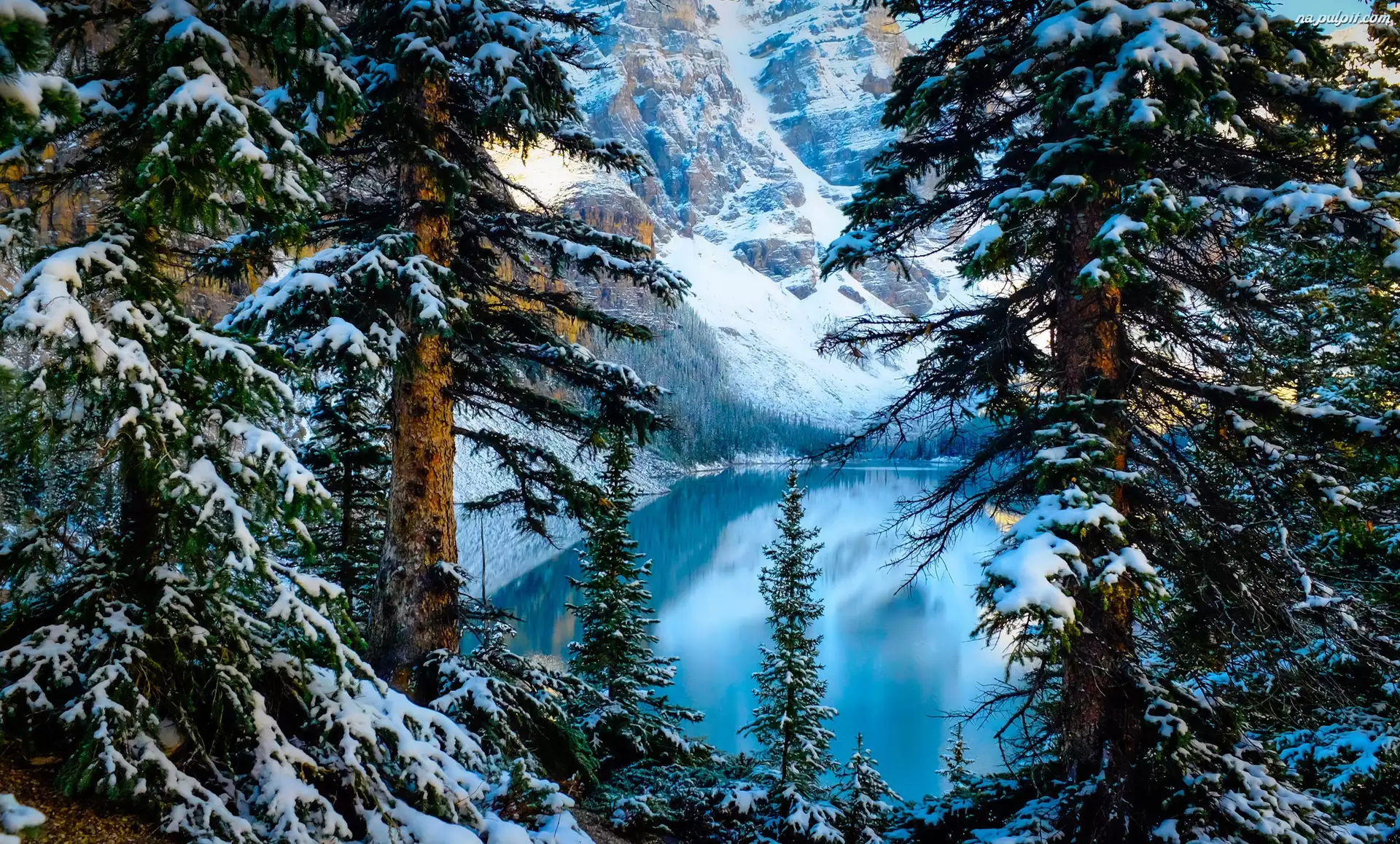 Prowincja Alberta, Park Narodowy Banff, Zima, Kanada, Drzewa, Góry, Jezioro Moraine
