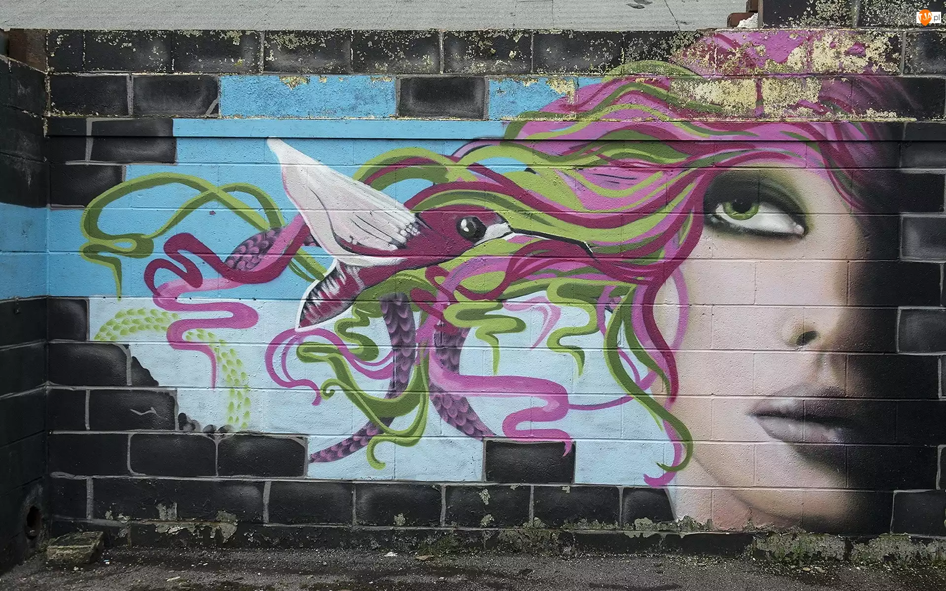 Street art, Kobieta, Mural, Ściana, Twarz