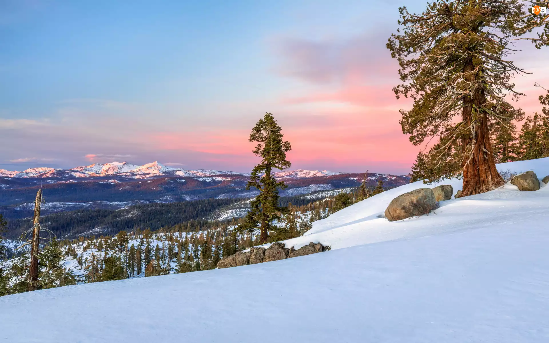 Drzewa, Kalifornia, Śnieg, Niebo, Góry, Stany Zjednoczone, Carson Pass, Wzgórze, Sierra Nevada, Zima, Las, Kamienie