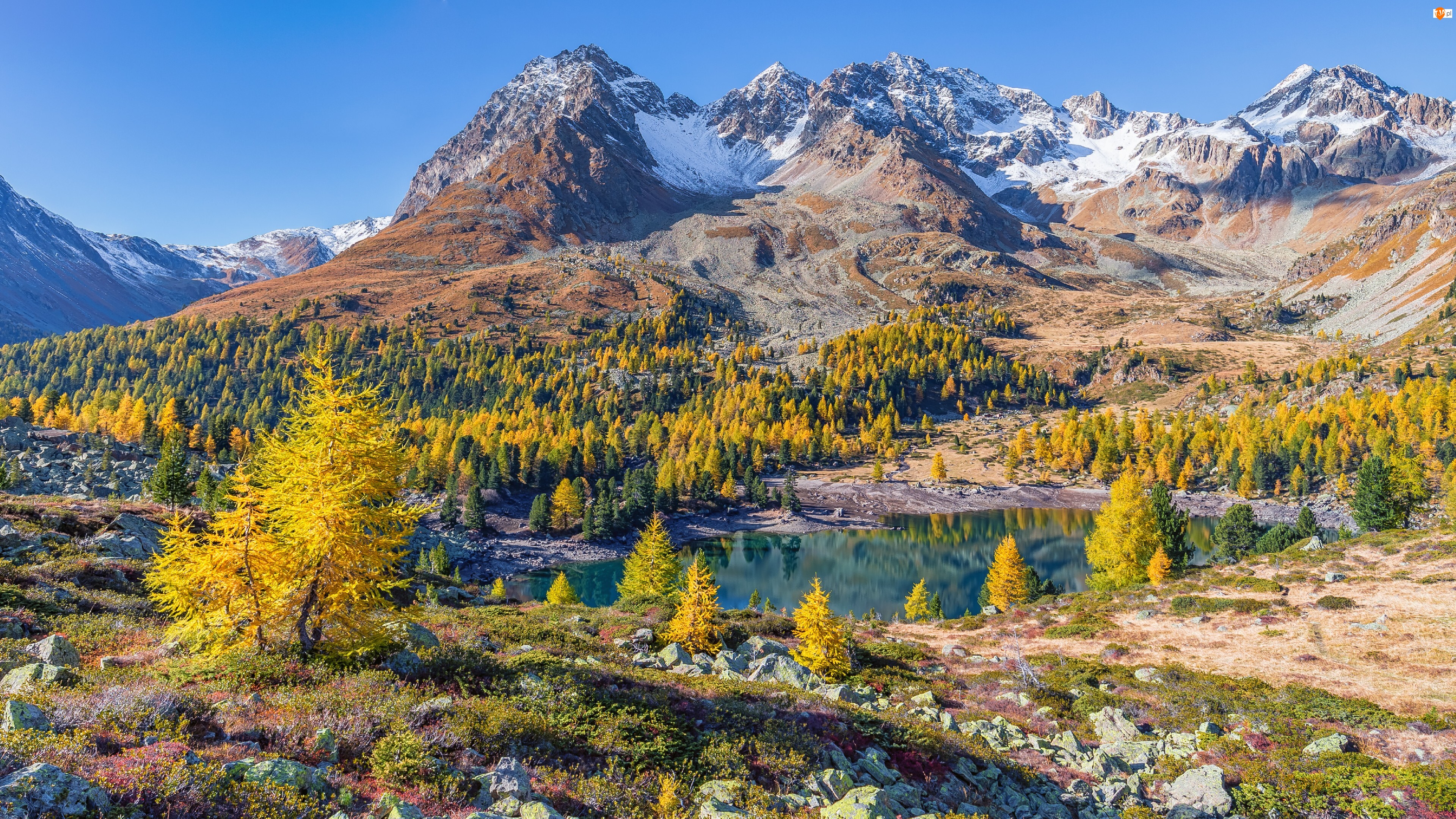 Drzewa, Szwajcaria, Dolina Val Poschiavo, Jesień, Gryzonia, Jezioro Lago di Val Viola, Kamienie, Góry Alpy