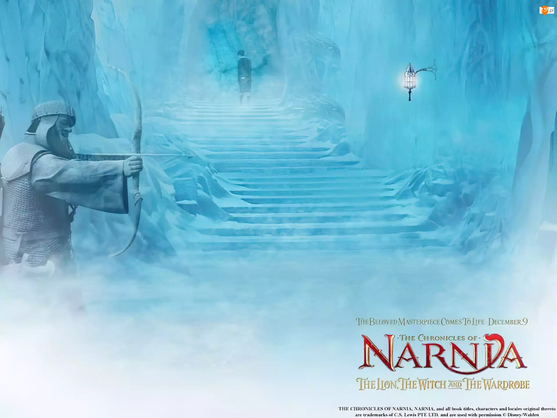 łuk, The Chronicles Of Narnia, dziecko, schody, rycerz