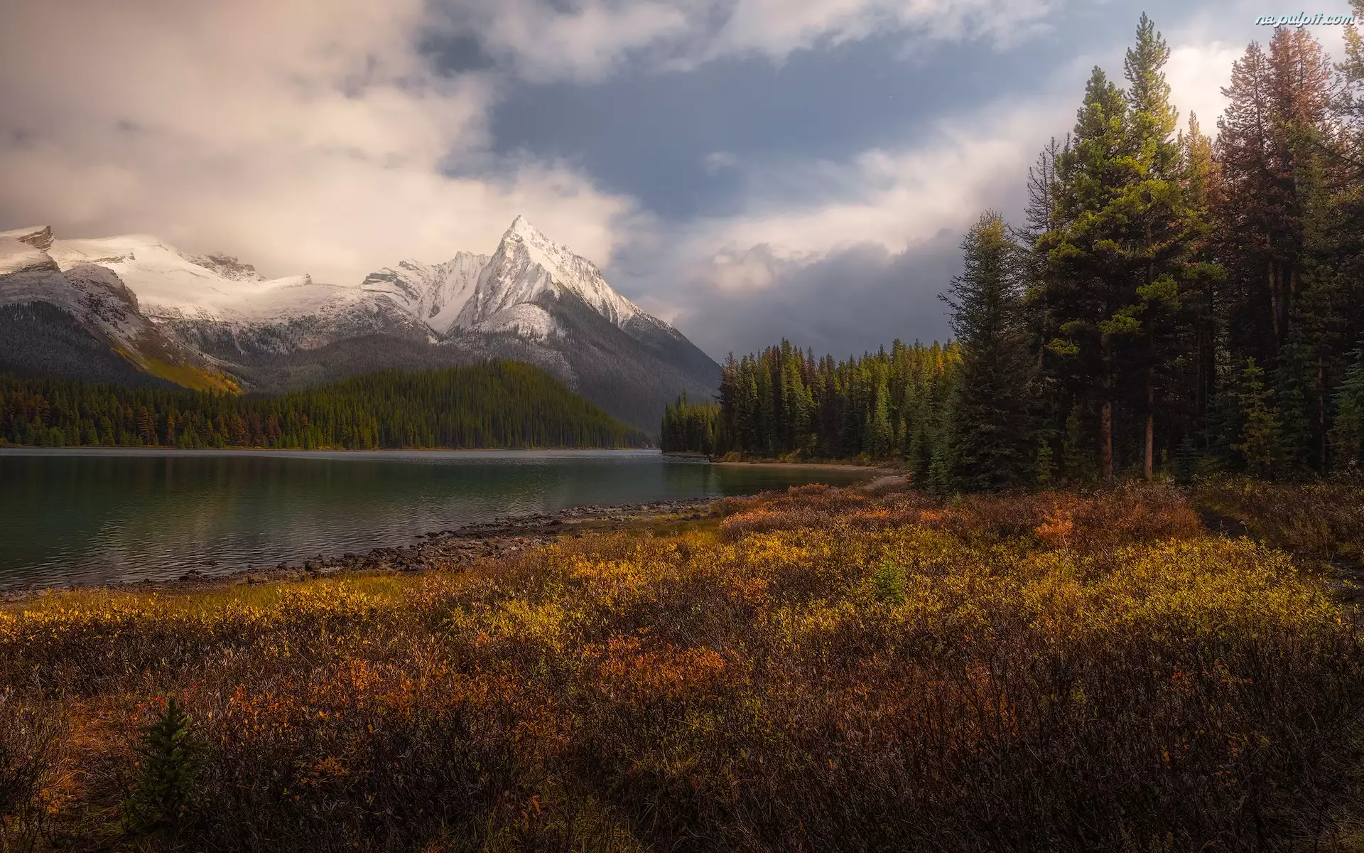 Canadian Rockies, Jesień, Kanada, Góry, Alberta, Jezioro, Drzewa