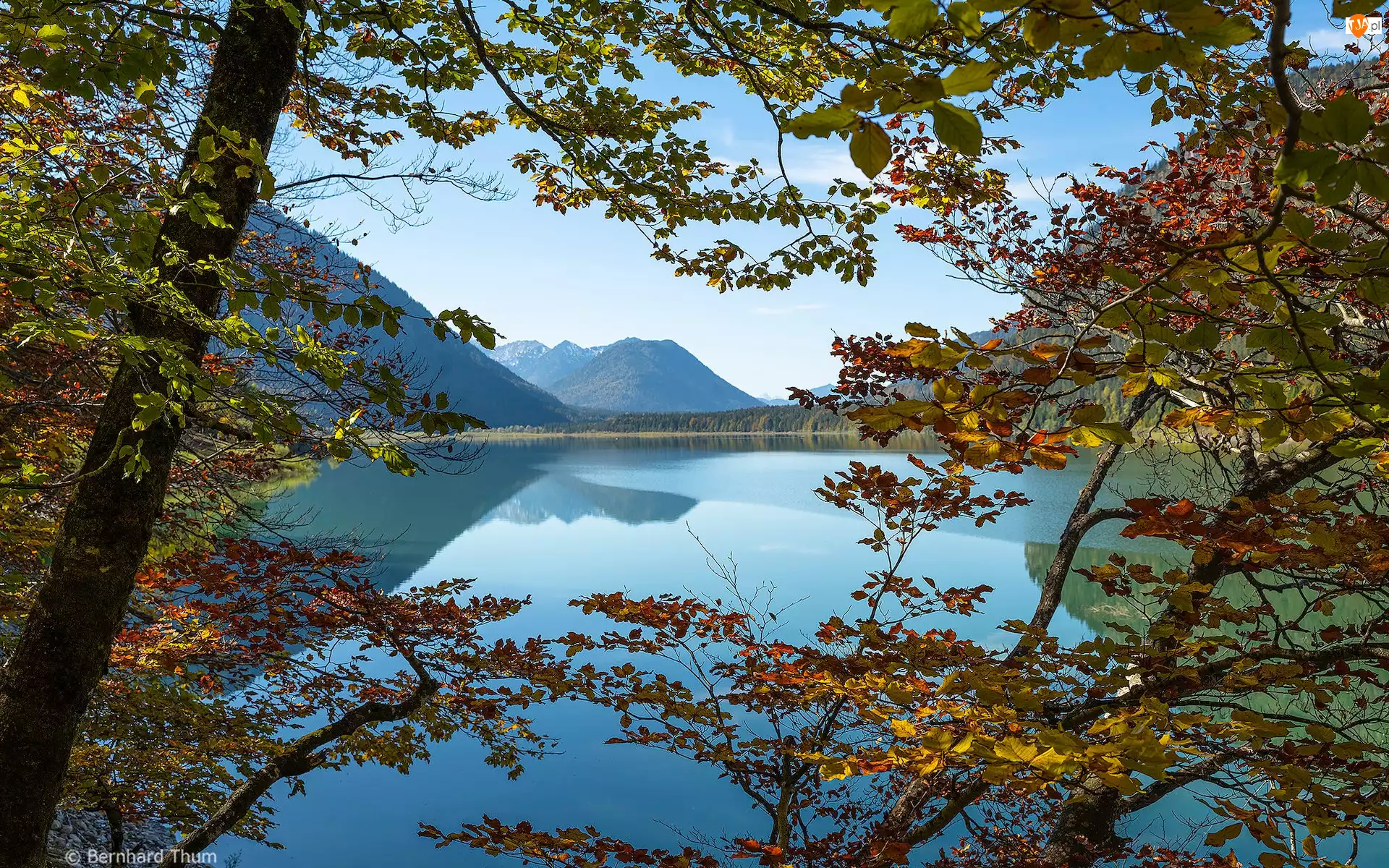 Góry, Jesień, Jezioro Sylvensteinsee, Niemcy, Drzewa, Bawaria