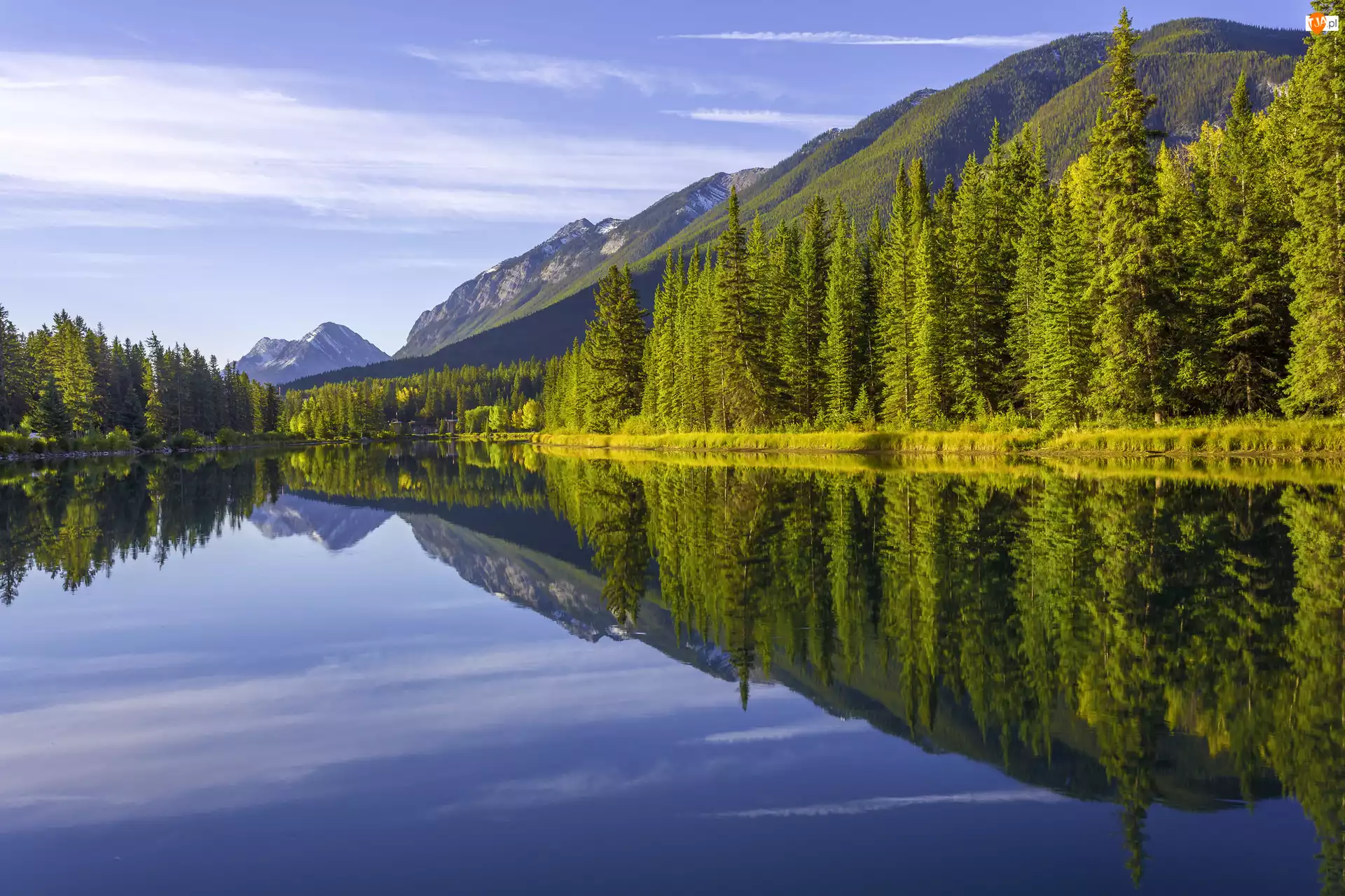 Las, Park Narodowy Banff, Góry, Rzeka, Prowincja Alberta, Drzewa, Bow River, Kanada