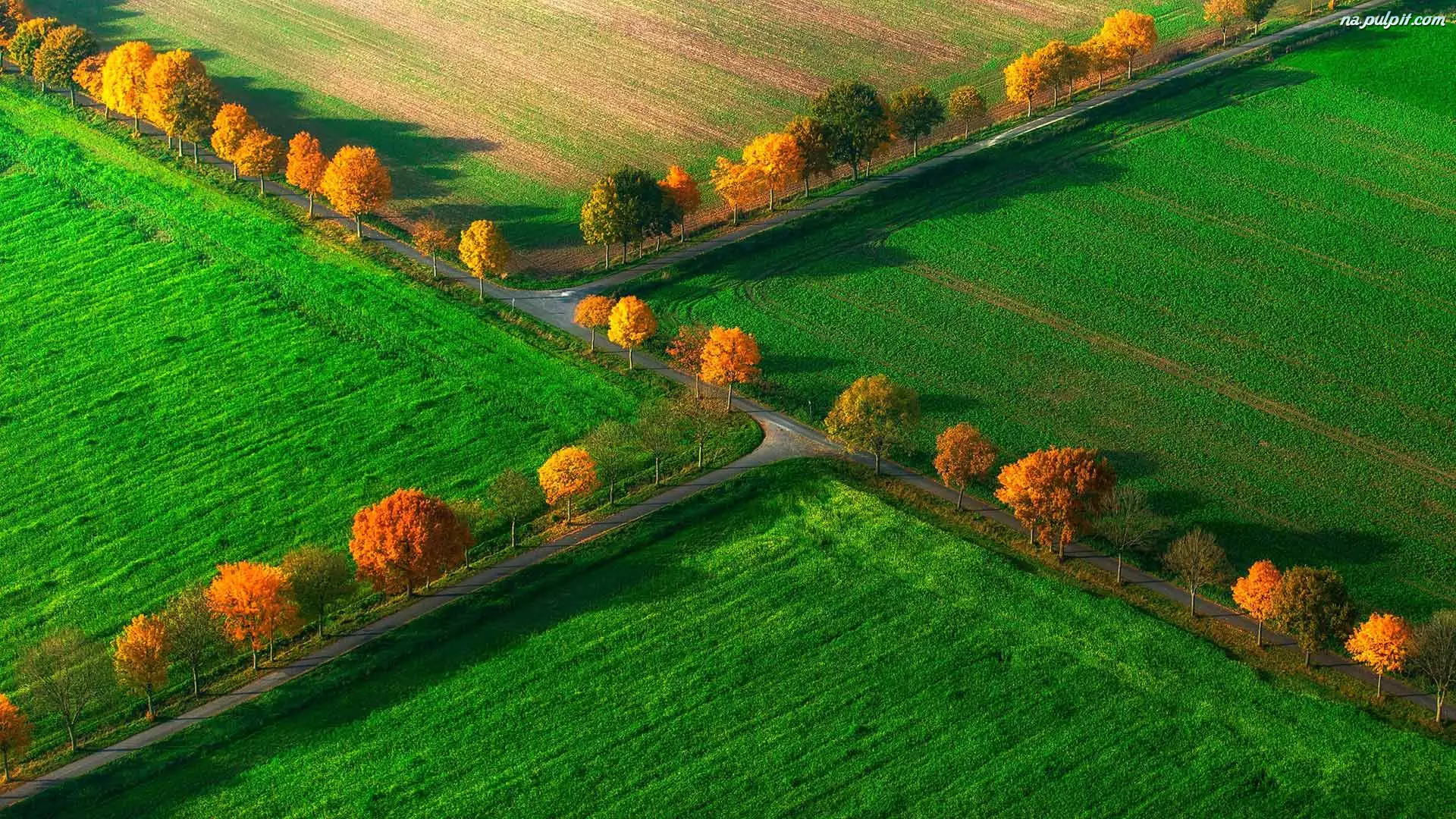 Jesień, Pola, Drogi, Drzewa