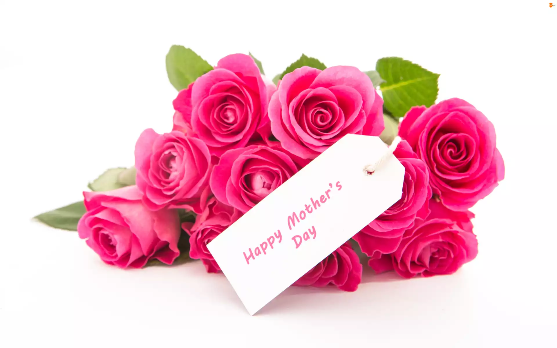 Napis, Dzień Matki, Bukiet, Róże, Happy Mothers Day
