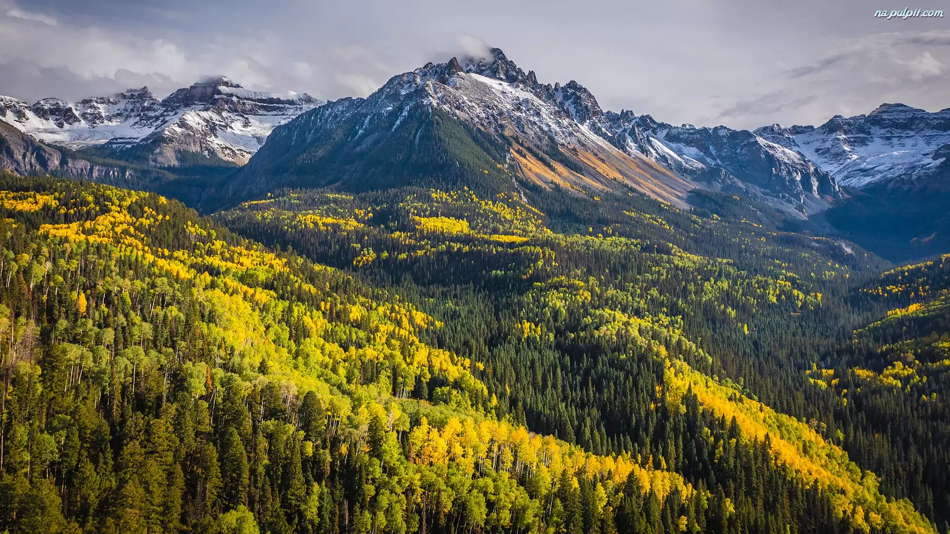 Drzewa, Góry Skaliste, Jesień, Kolorado, Góra, Lasy, Stany Zjednoczone, Mount Sneffels