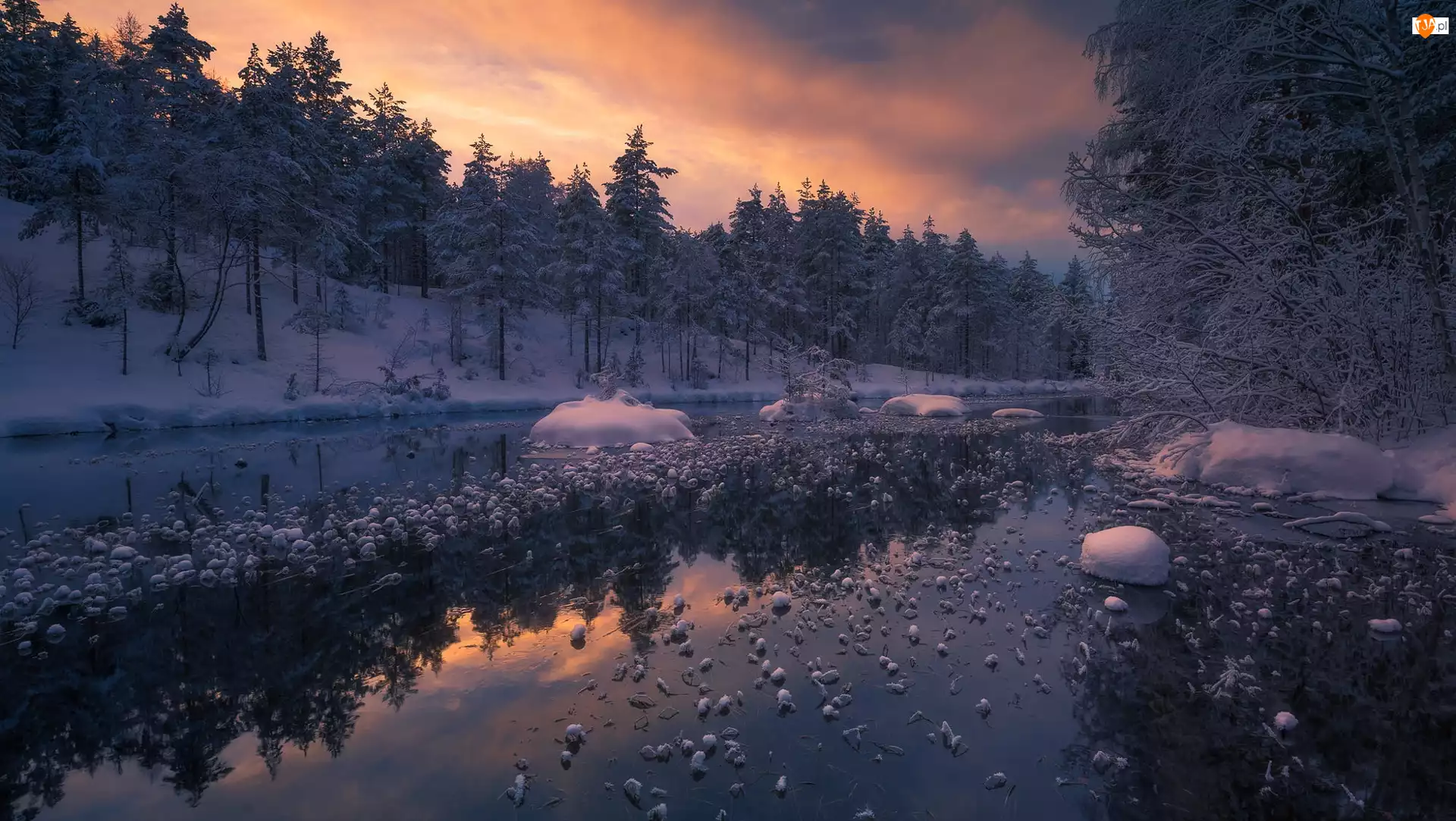 Drzewa, Jezioro, Ringerike, Norwegia, Zima