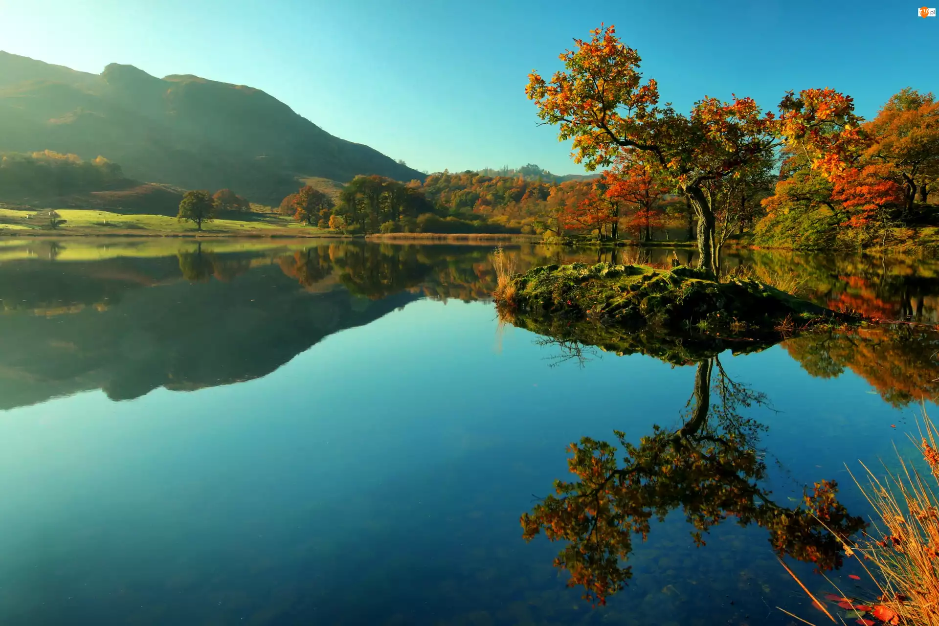Drzewa, Odbicie, Jezioro, Jesień, Góry