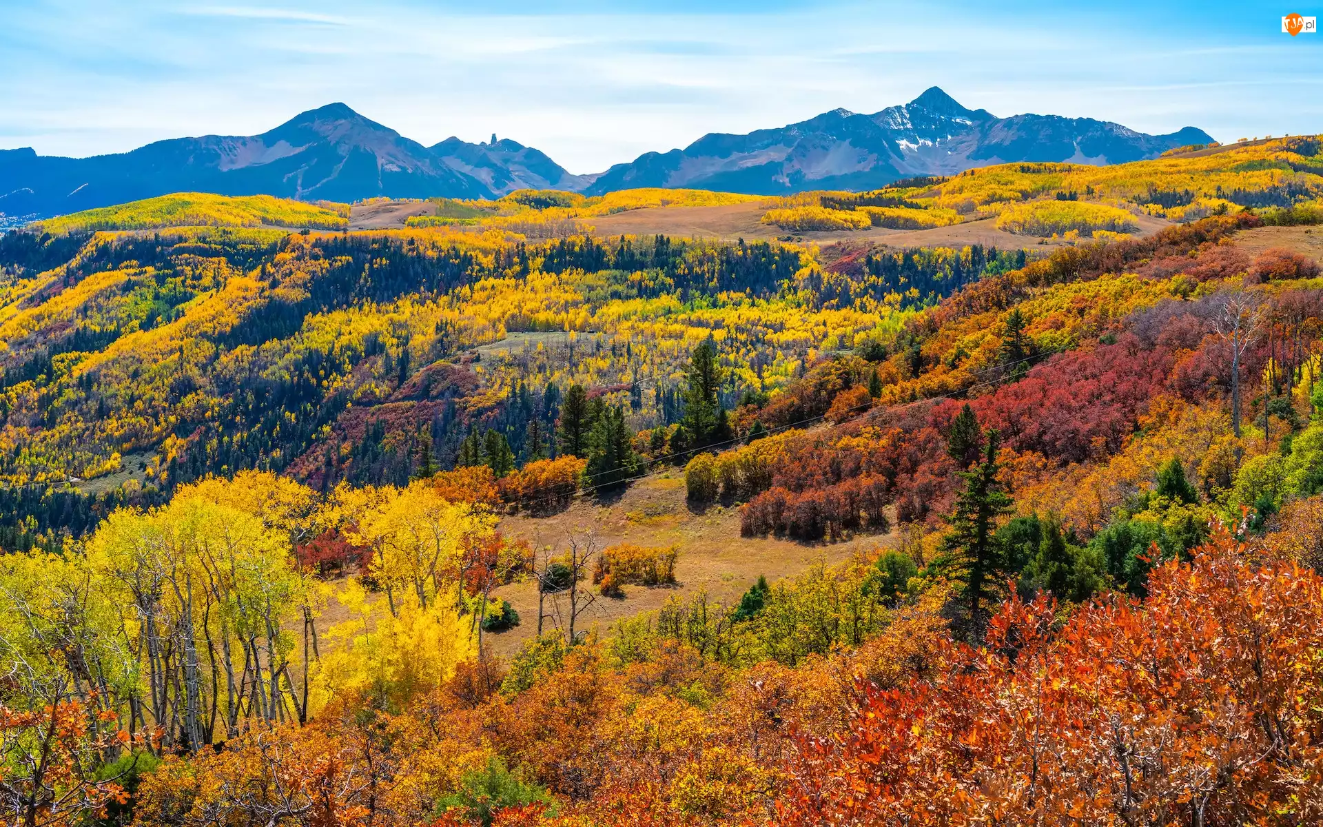 Góry, Góra, Jesień, Wilson Peak, Kolorado, Góry, San Juan Mountains, Stany Zjednoczone, Las, Telluride, Drzewa