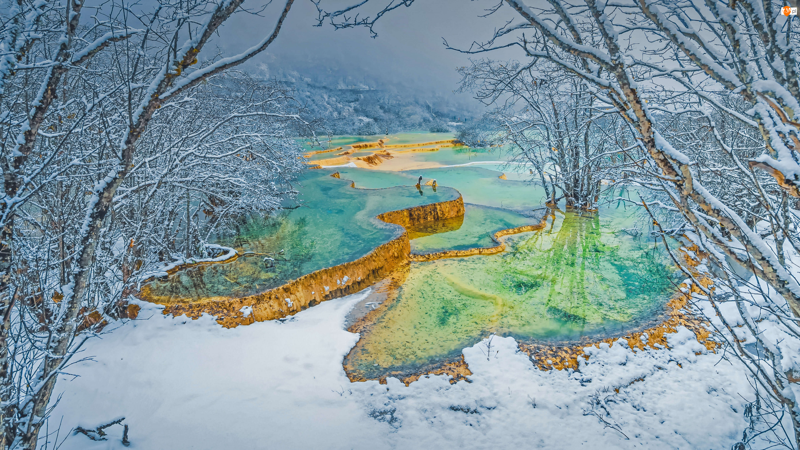 Kaskada, Zima, Rzeka, Dolina Huanglong, Drzewa, Sadzawki tarasowe, Chiny, Śnieg
