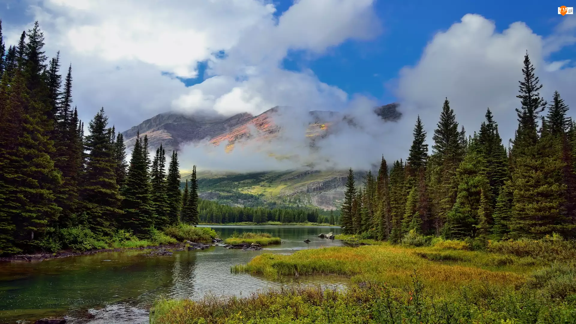 Stan Montana, Park Narodowy Glacier, Chmury, Stany Zjednoczone, Drzewa, Rzeka, Góry