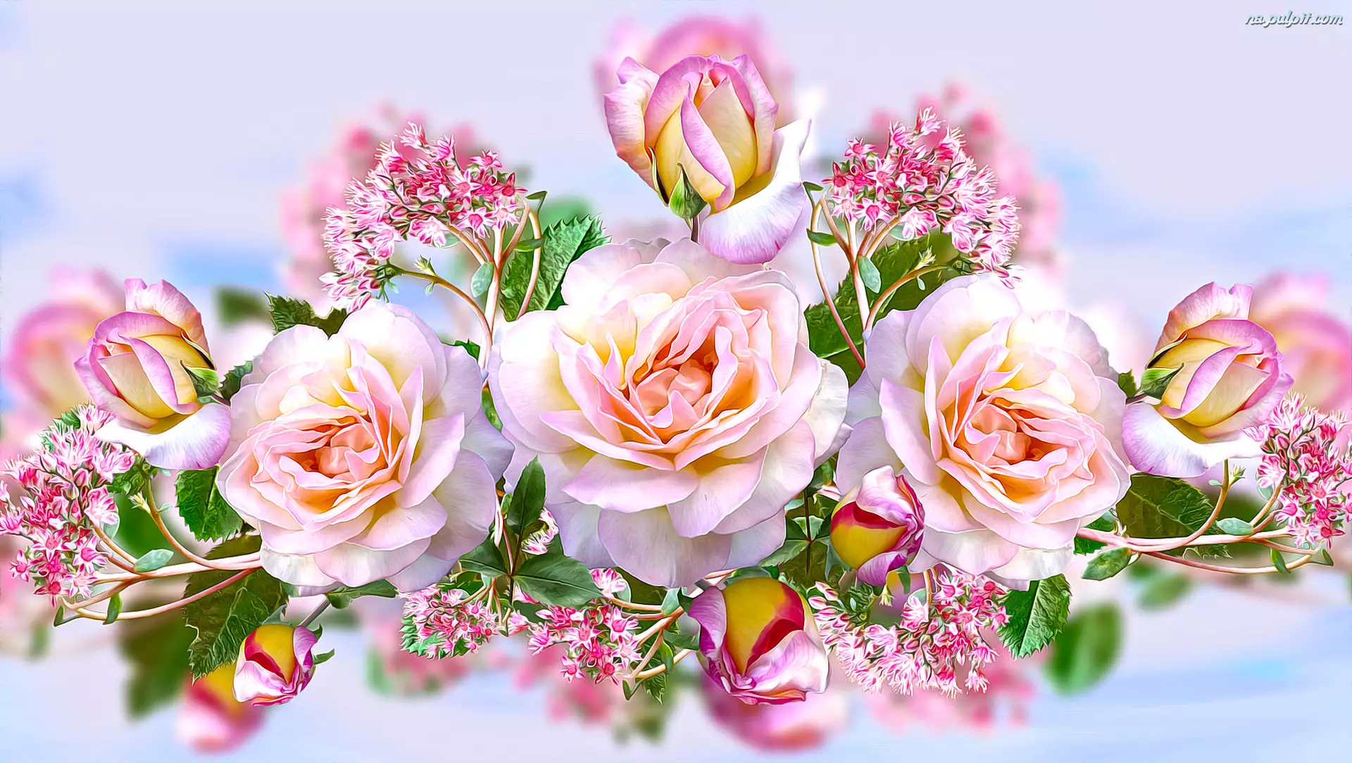 Grafika 2D, Różowe, Kwiaty, Róże