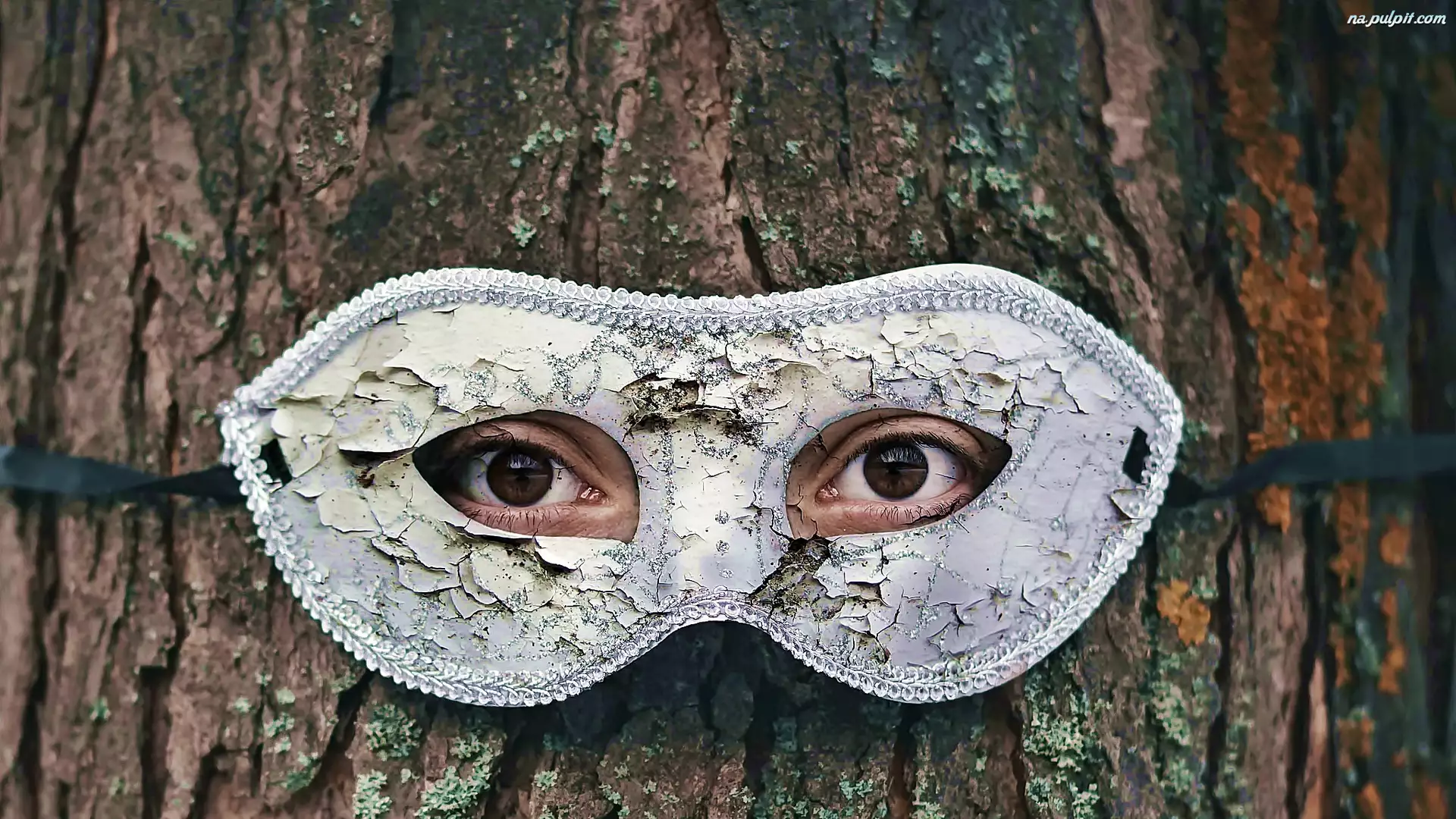 Drzewo, Maska, Oczy