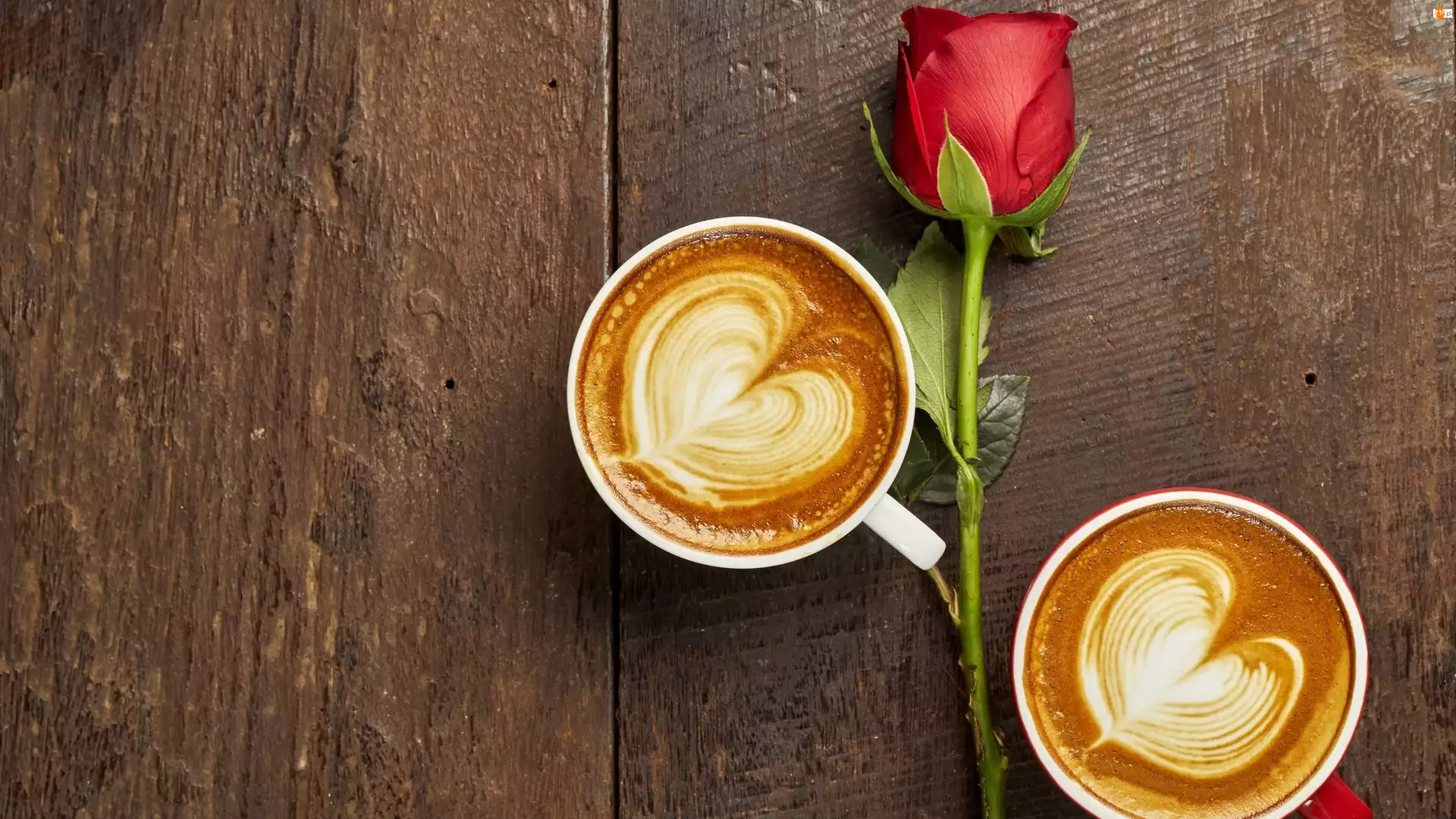 Kawy, Deski, Róża, Czerwona, Cappuccino