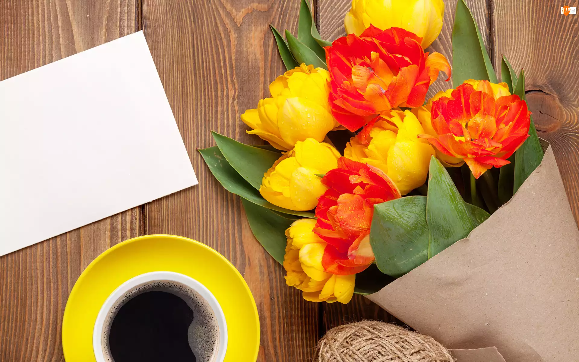Tulipany, Filiżanka, Kwiaty, Kawa, Papier
