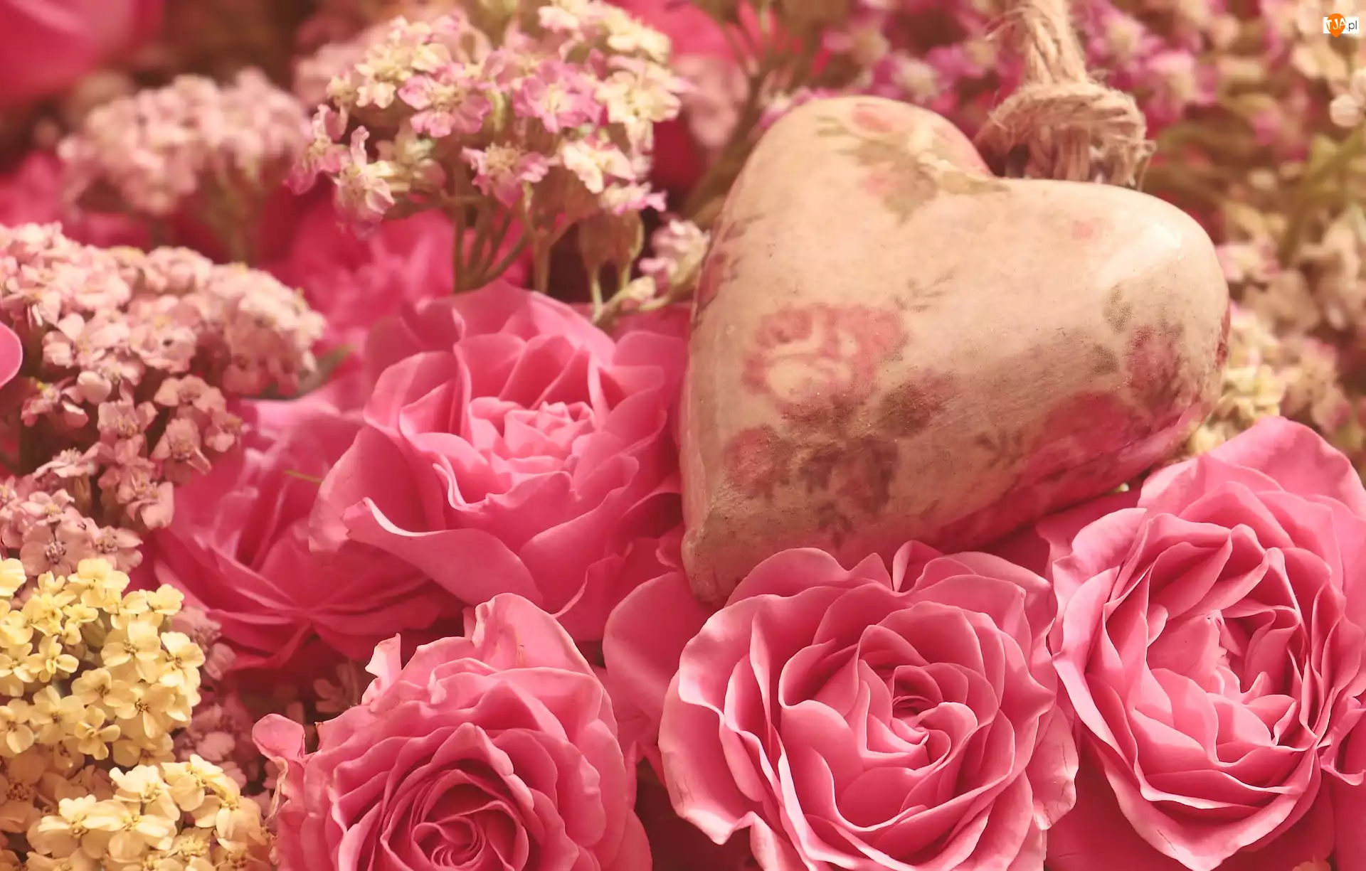 Róże, Kwiaty, Dekoracyjne, Serce