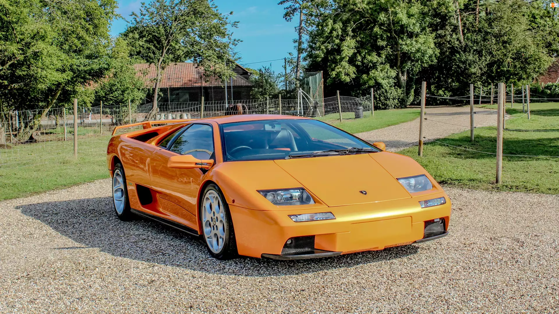 Diablo, Pomarańczowe, Lamborghini