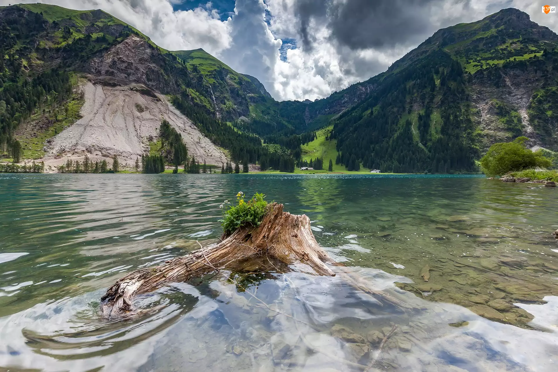 Austria, Jezioro, Konar, Góry