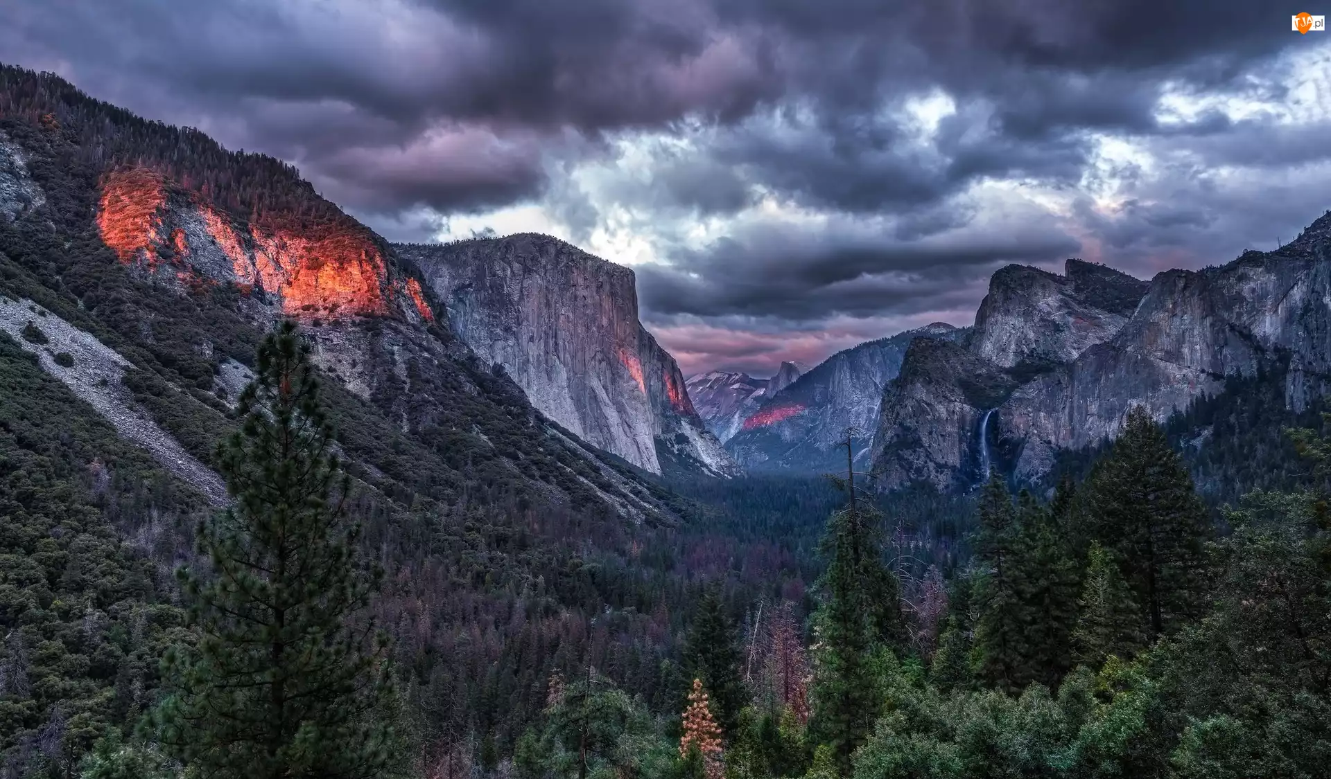 Dolina Yosemite Valley, Stan Kalifornia, Świerki, Park Narodowy Yosemite, Chmury, Góry, Stany Zjednoczone