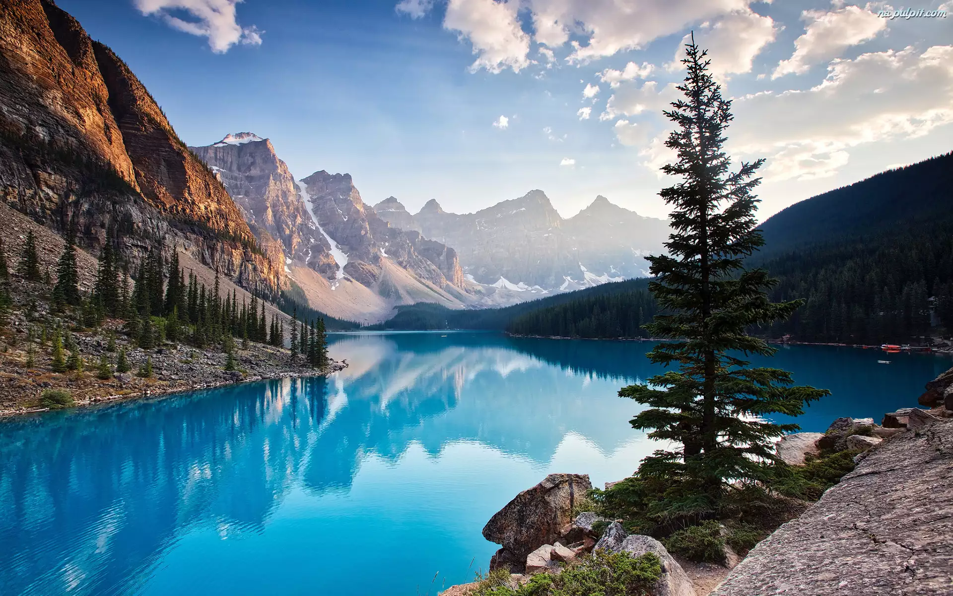 Prowincja Alberta, Kanada, Jezioro Moraine, Góry, Park Narodowy Banff, Drzewa