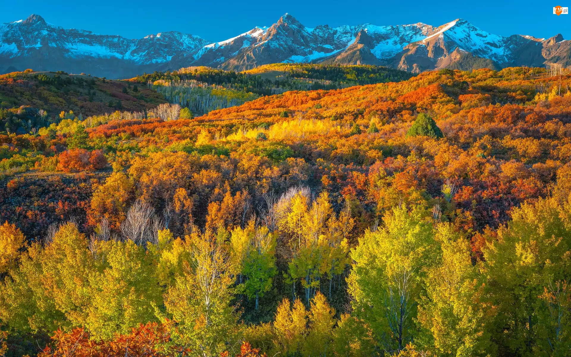 Kolorado, Góry, Drzewa, Stany Zjednoczone, Las, Jesień, San Juan Mountains