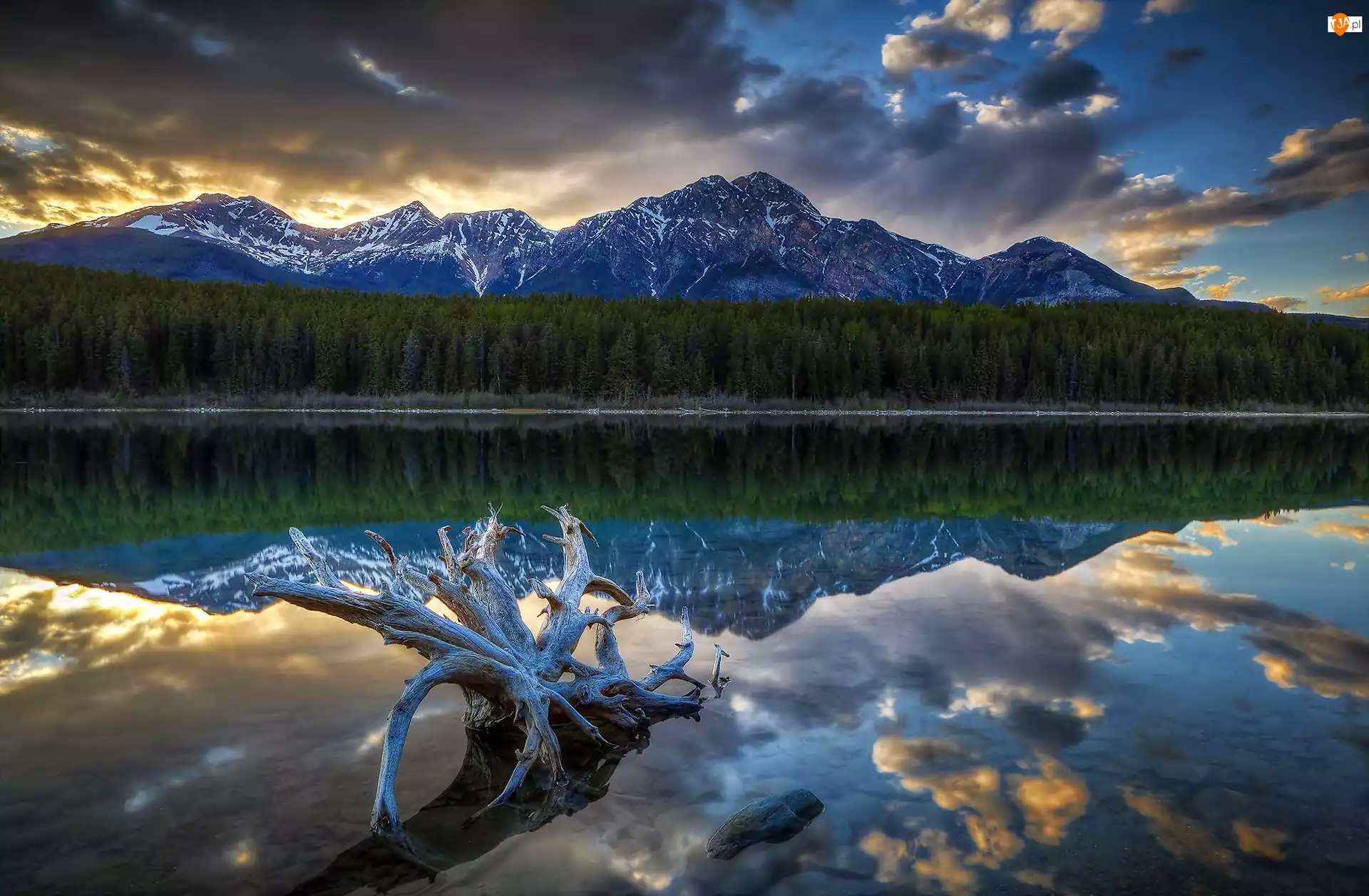 Prowincja Alberta, Park Narodowy Jasper, Jezioro Patricia Lake, Kanada, Chmury, Las, Góry