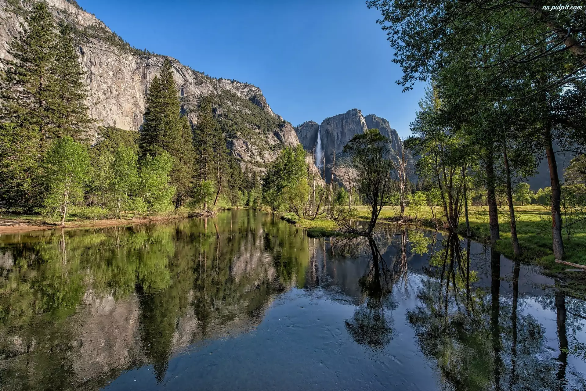 Stan Kalifornia, Stany Zjednoczone, Drzewa, Góry, Park Narodowy Yosemite, Rzeka
