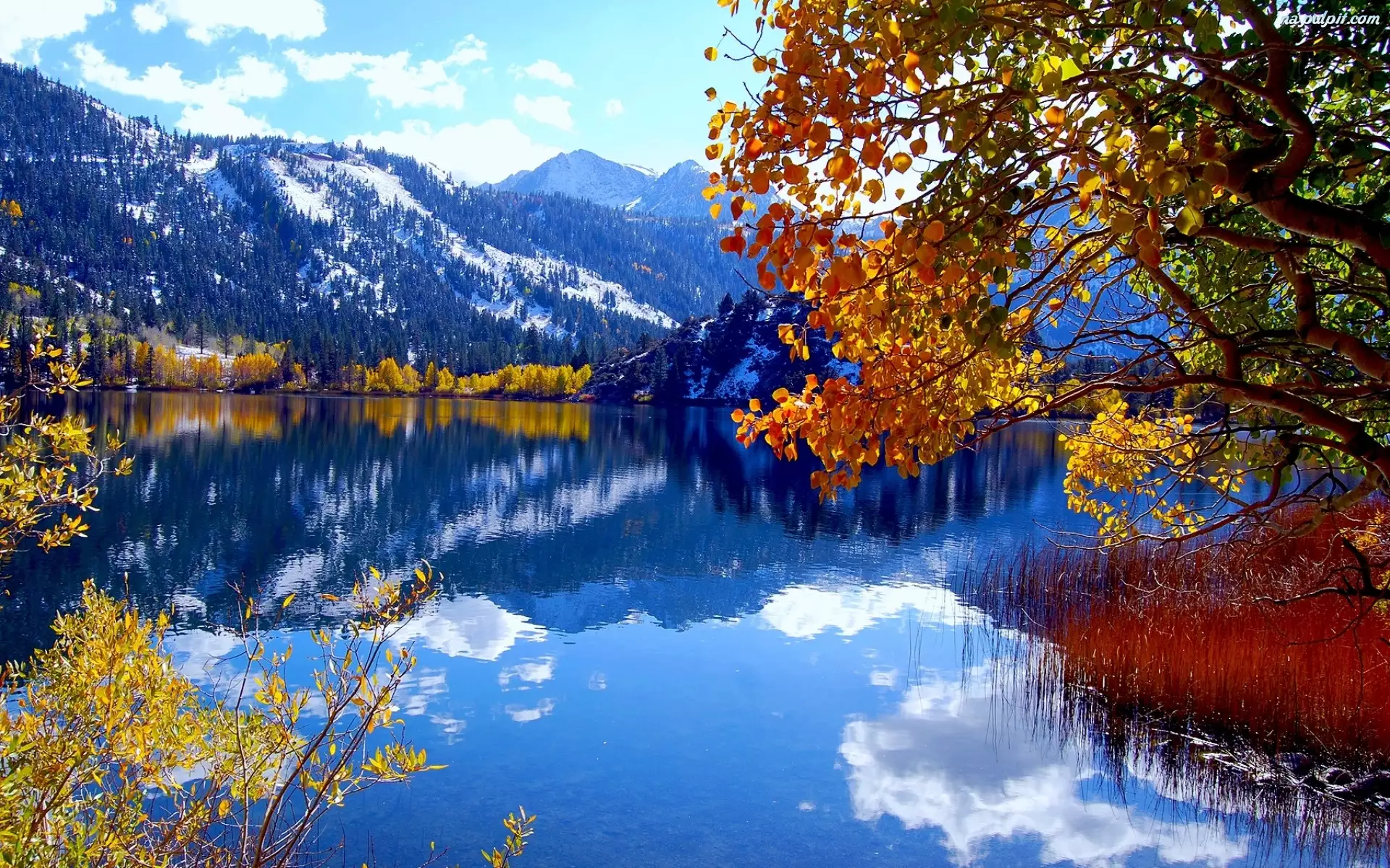 Jesień, Góry, Jezioro, Drzewa