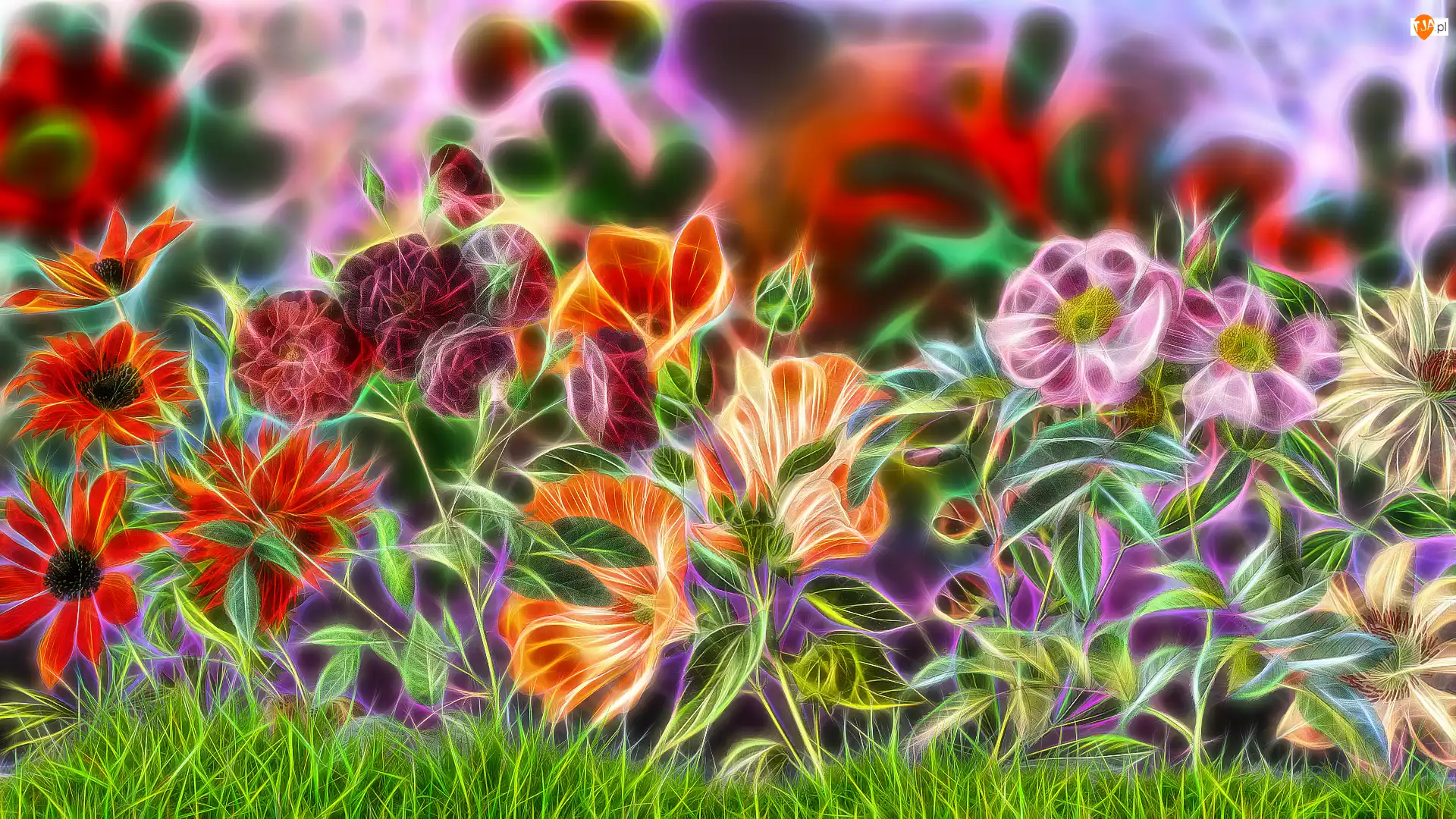 Fractalius, Różnobarwne, Kwiaty
