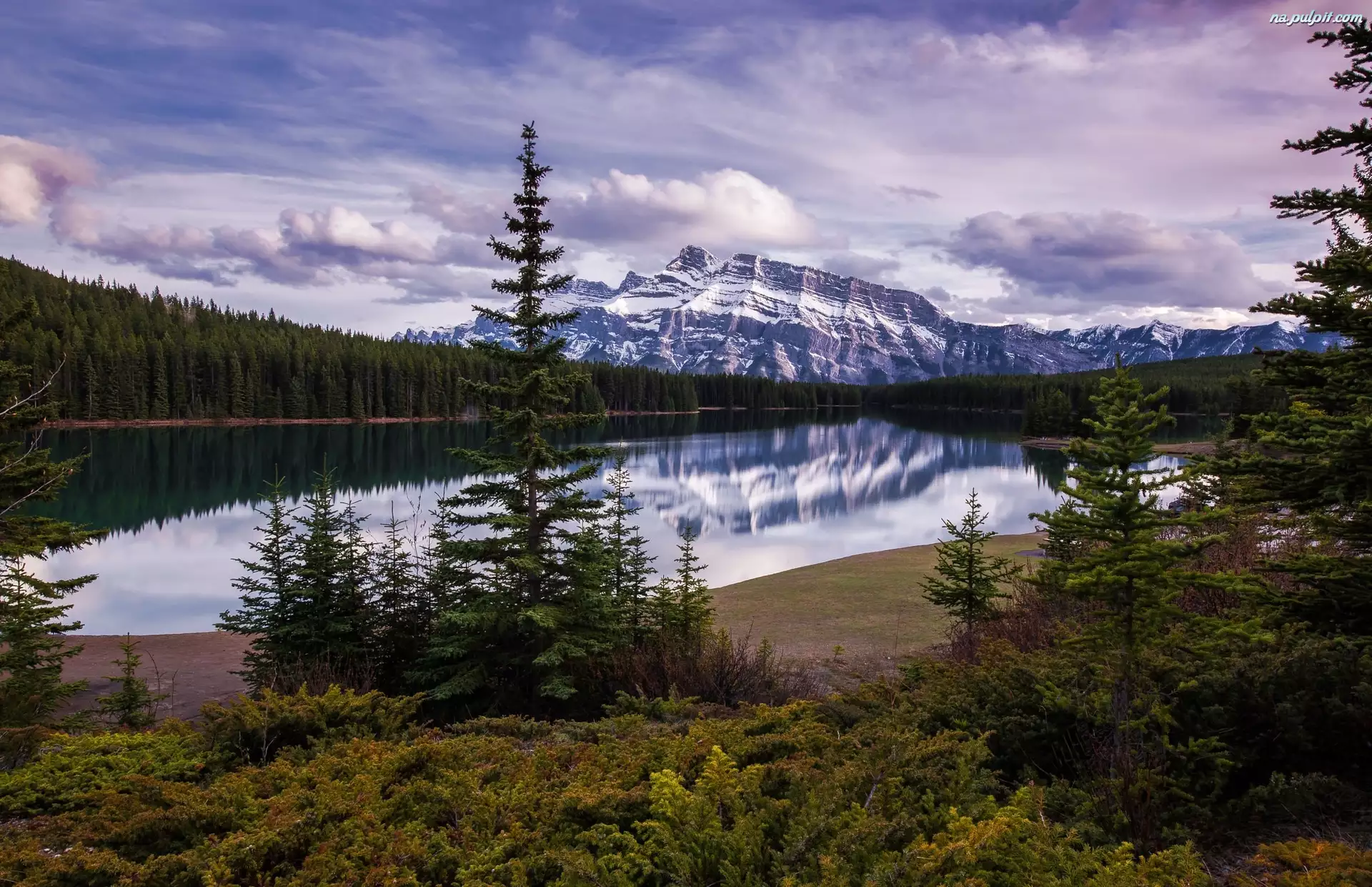 Park Narodowy Banff, Jezioro Vermilion, Świerki, Kanada, Lasy, Szczyt Mount Rundle, Góry