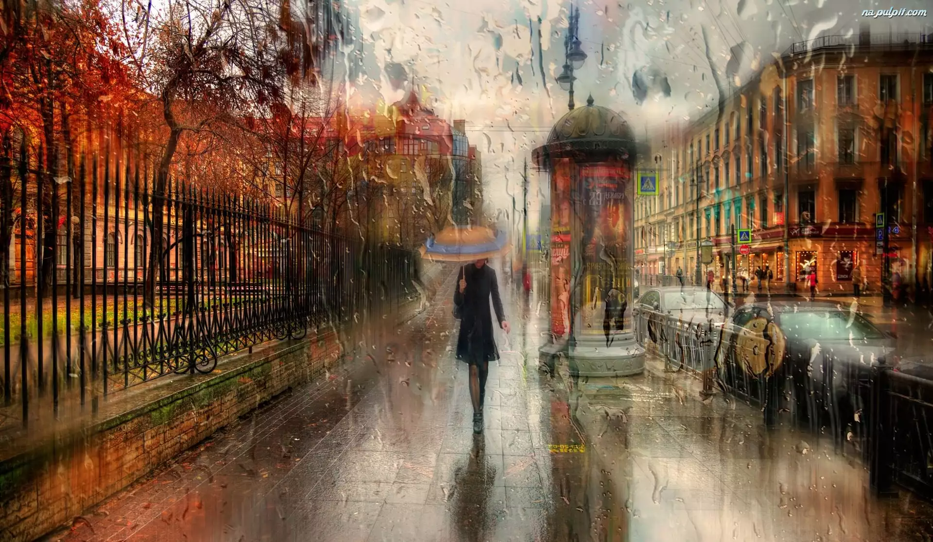 Sankt Petersburg, Rosja, Kobieta, Ulica, Deszcz, Parasol