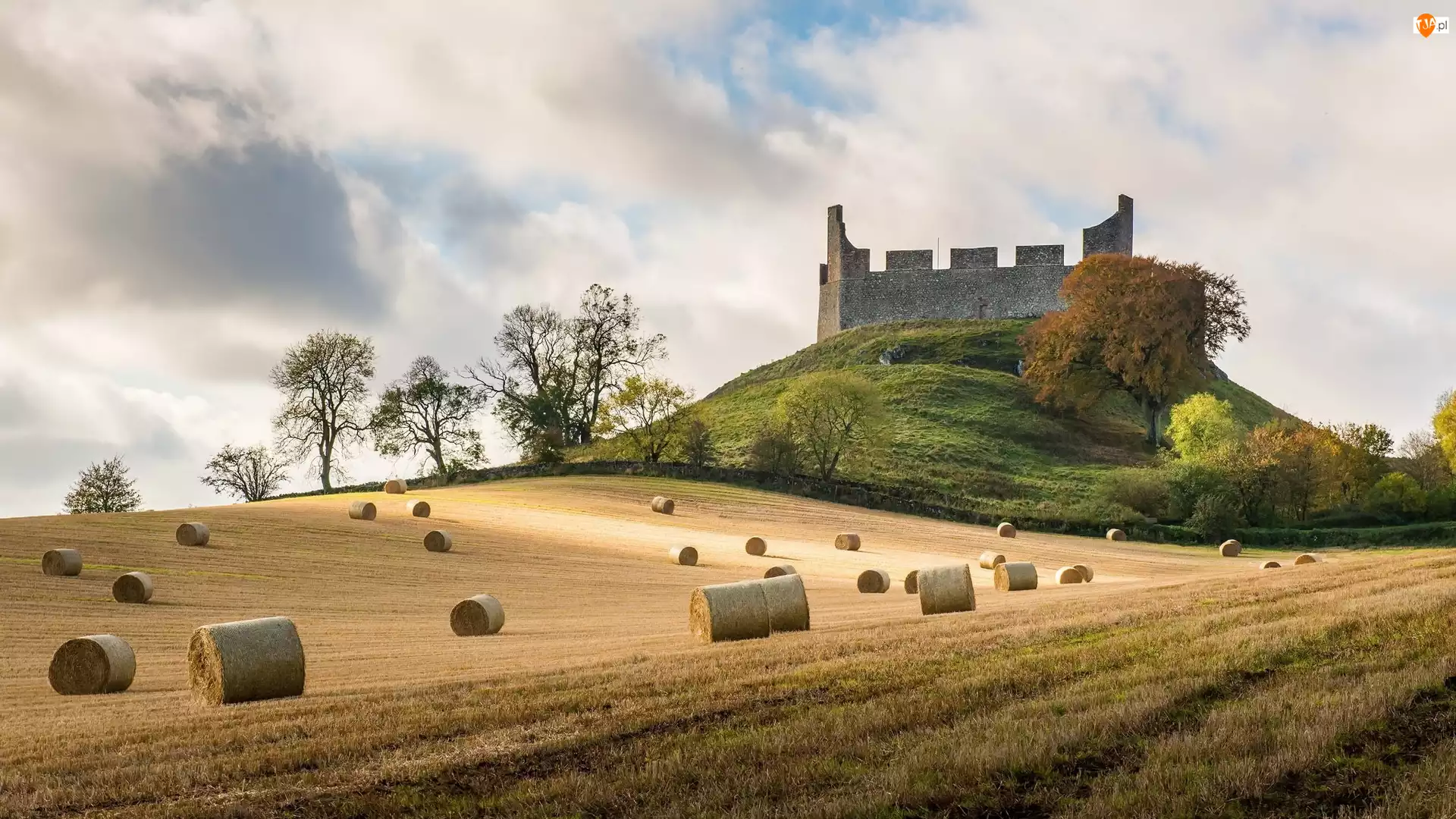 Zamek Hume Castle, Szkocja, Pole, Drzewa, Ruiny, Siano