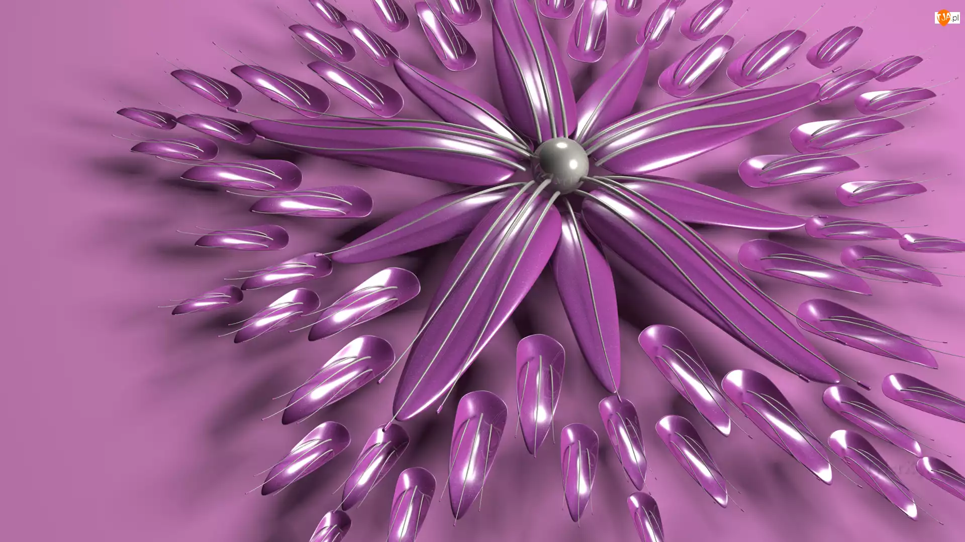 Kwiat, Grafika 3D, Fioletowy