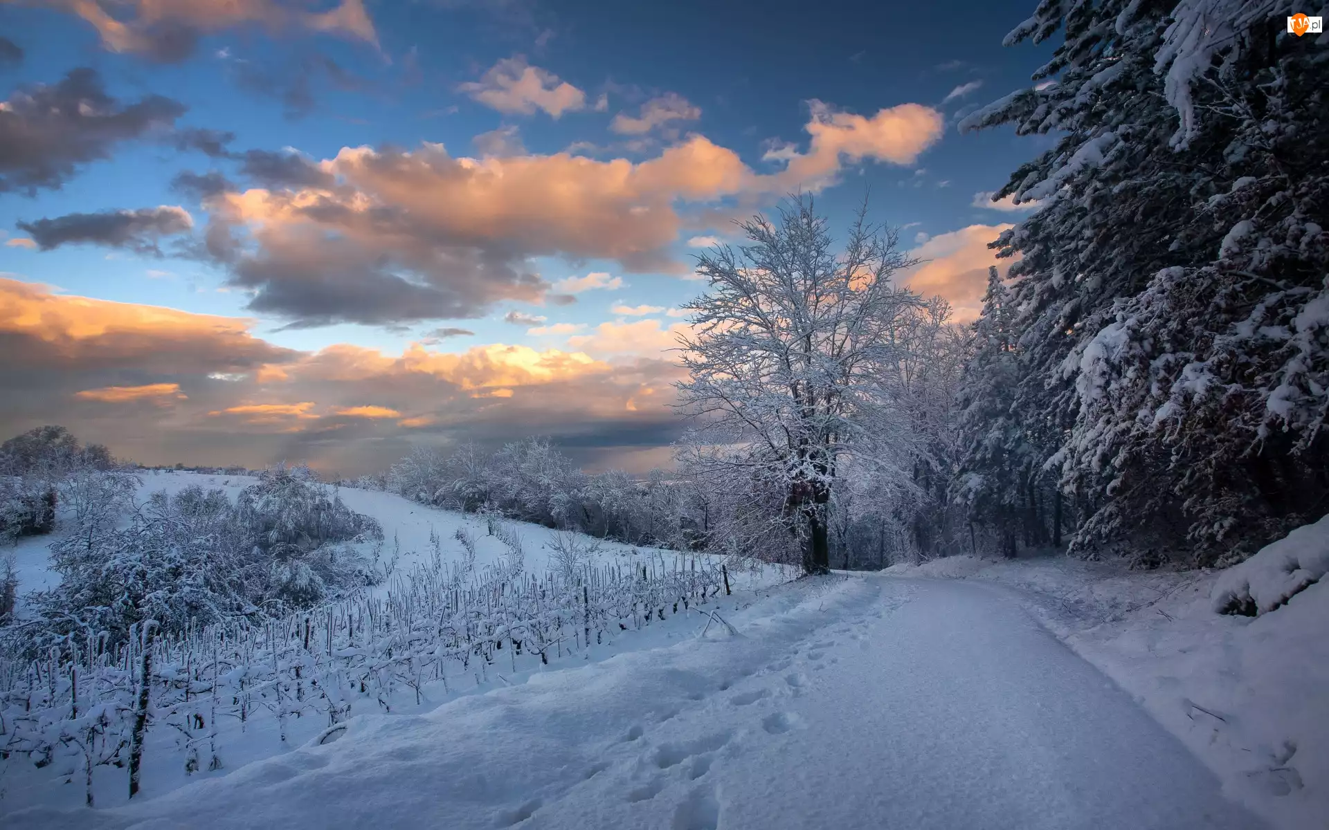 Droga, Zima, Drzewa, Chmury, Śnieg, Wzgórze